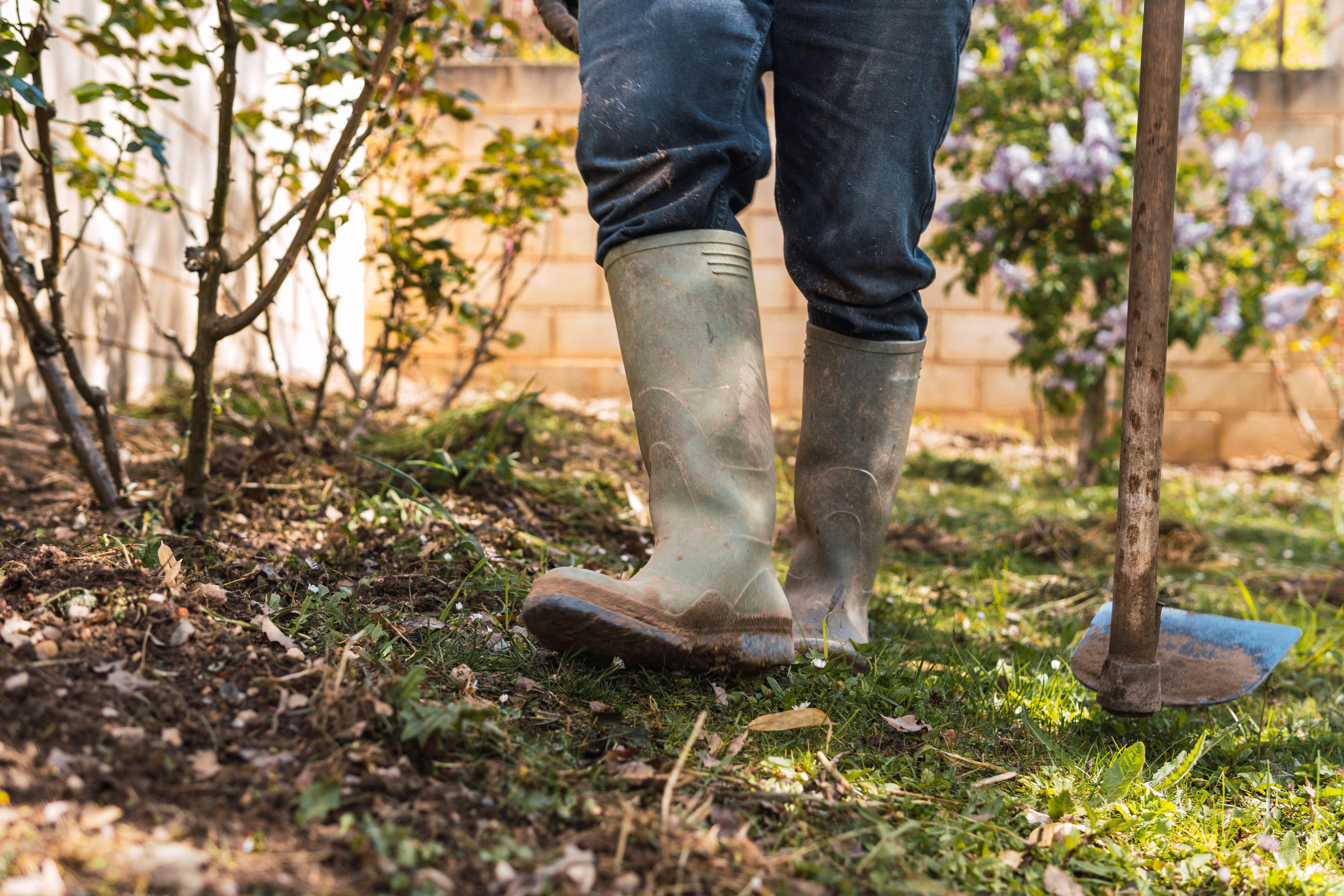 A gardener in muddy gumboots.