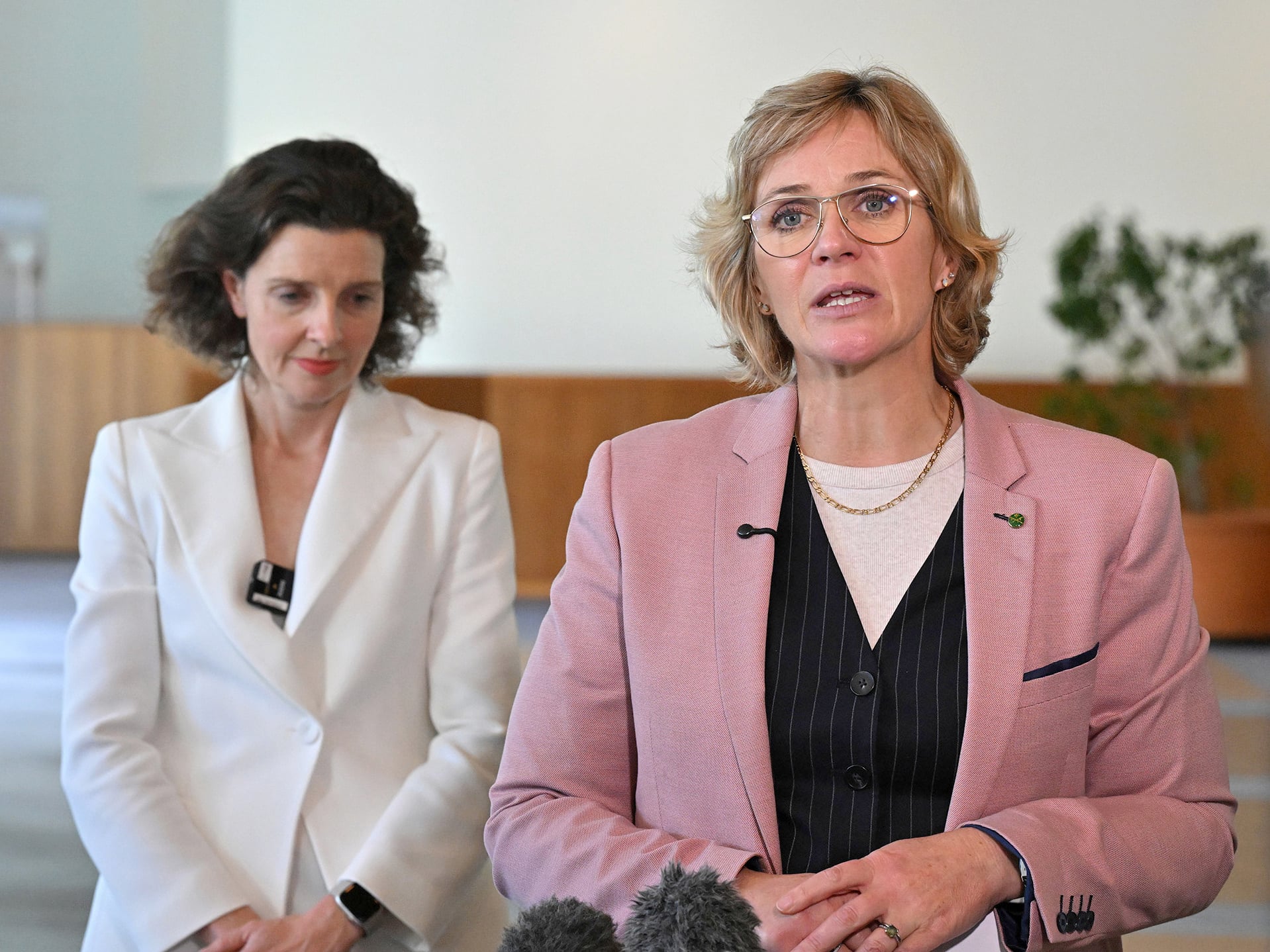  Wentworth MP Allegra Spender (left) and Warringah MP Zali Steggall this week.