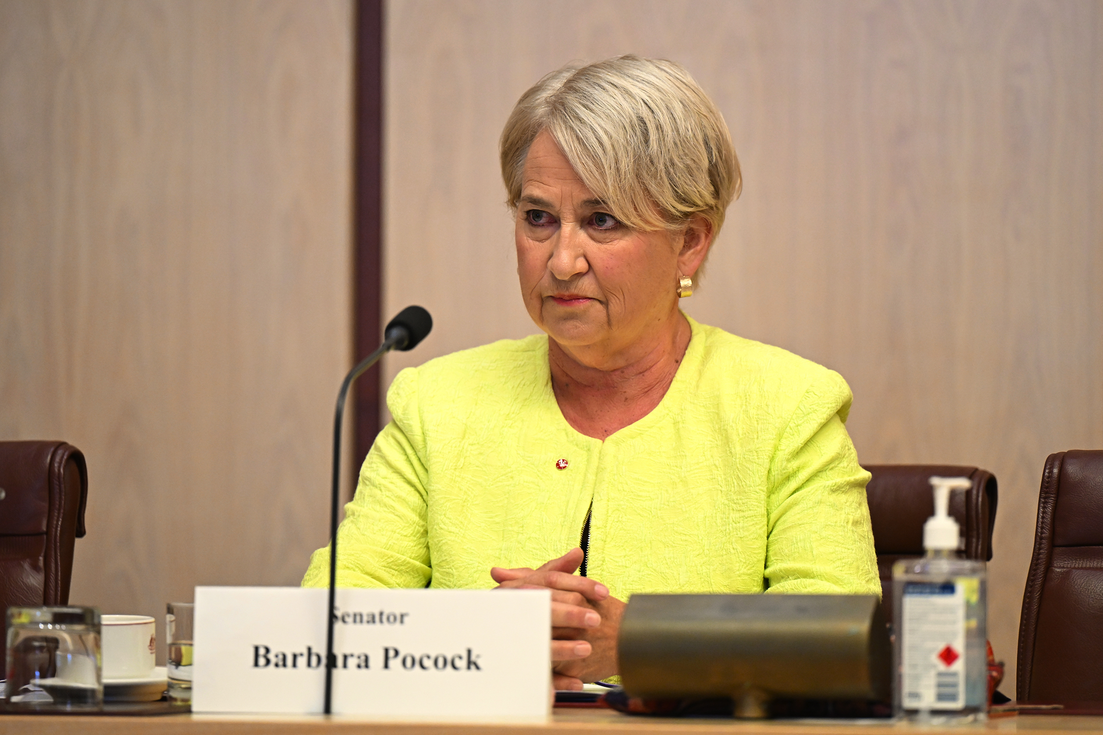 Australian Greens Senator Barbara Pocock speaking during Senate estimates
