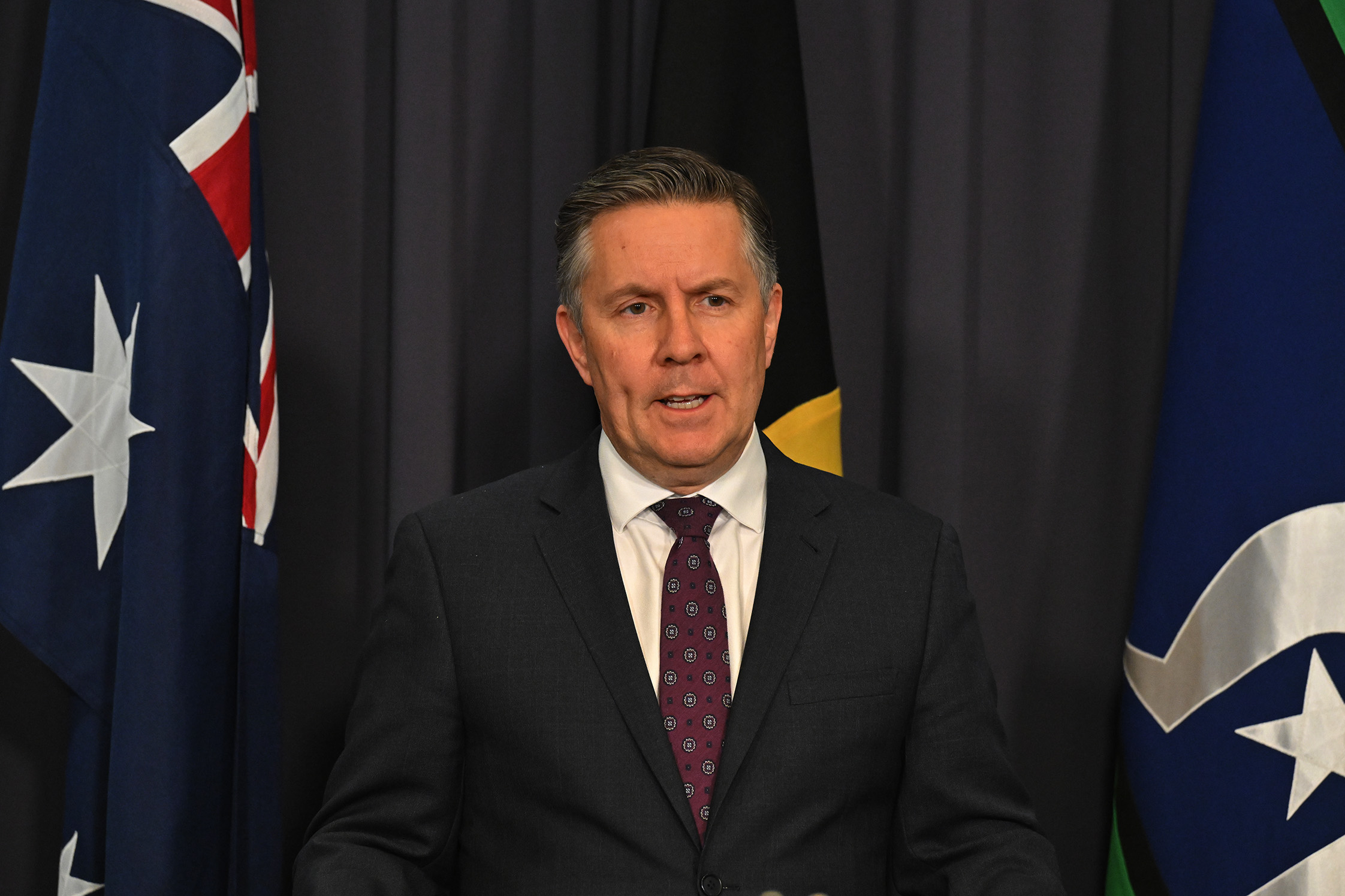 NDIS Minister Mark Butler.