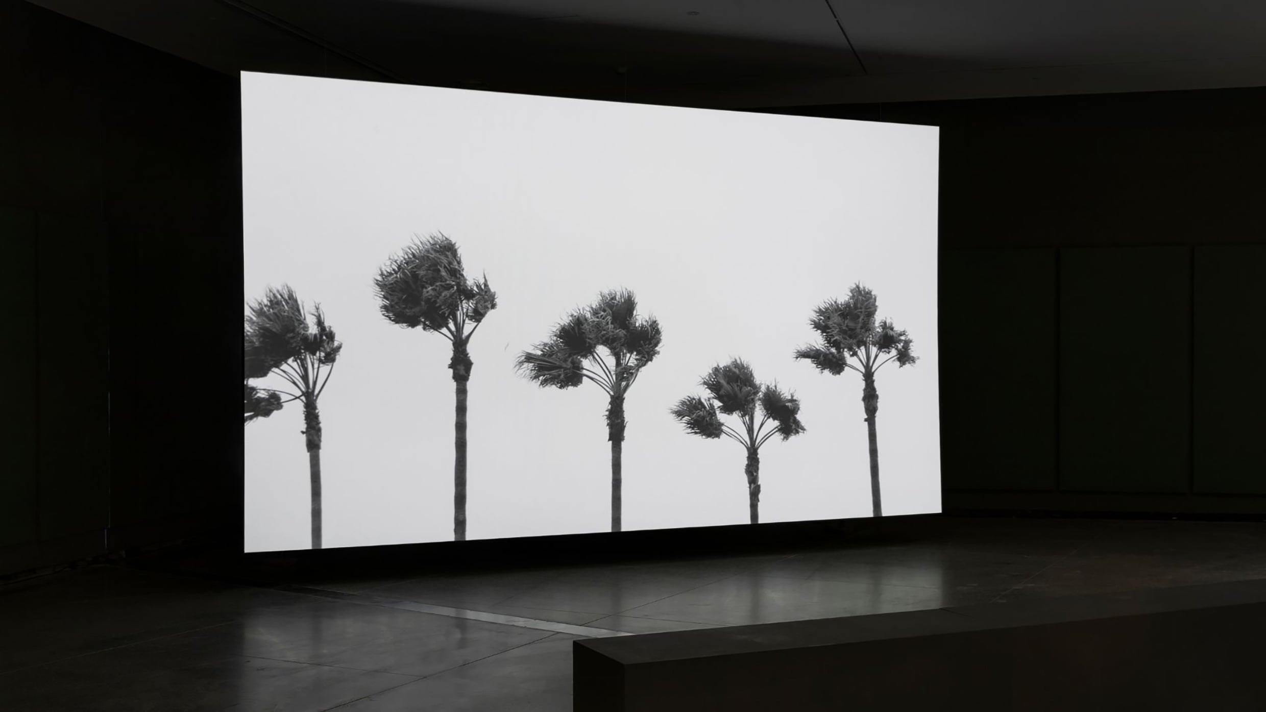 A still of Julius von Bismarck’s video installation Irma to come in earnest.