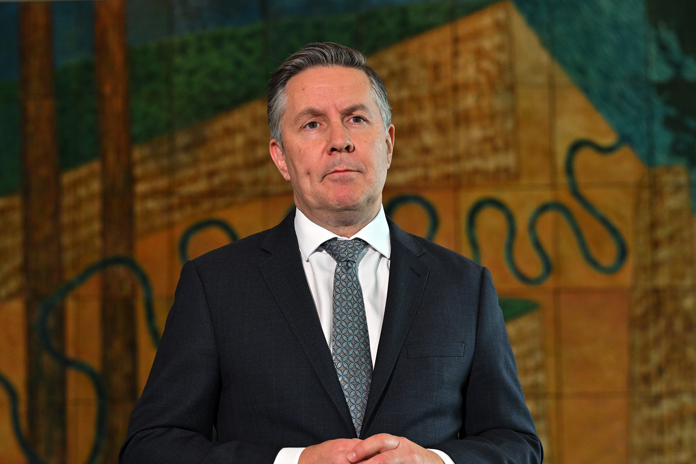 NDIS Minister Mark Butler.