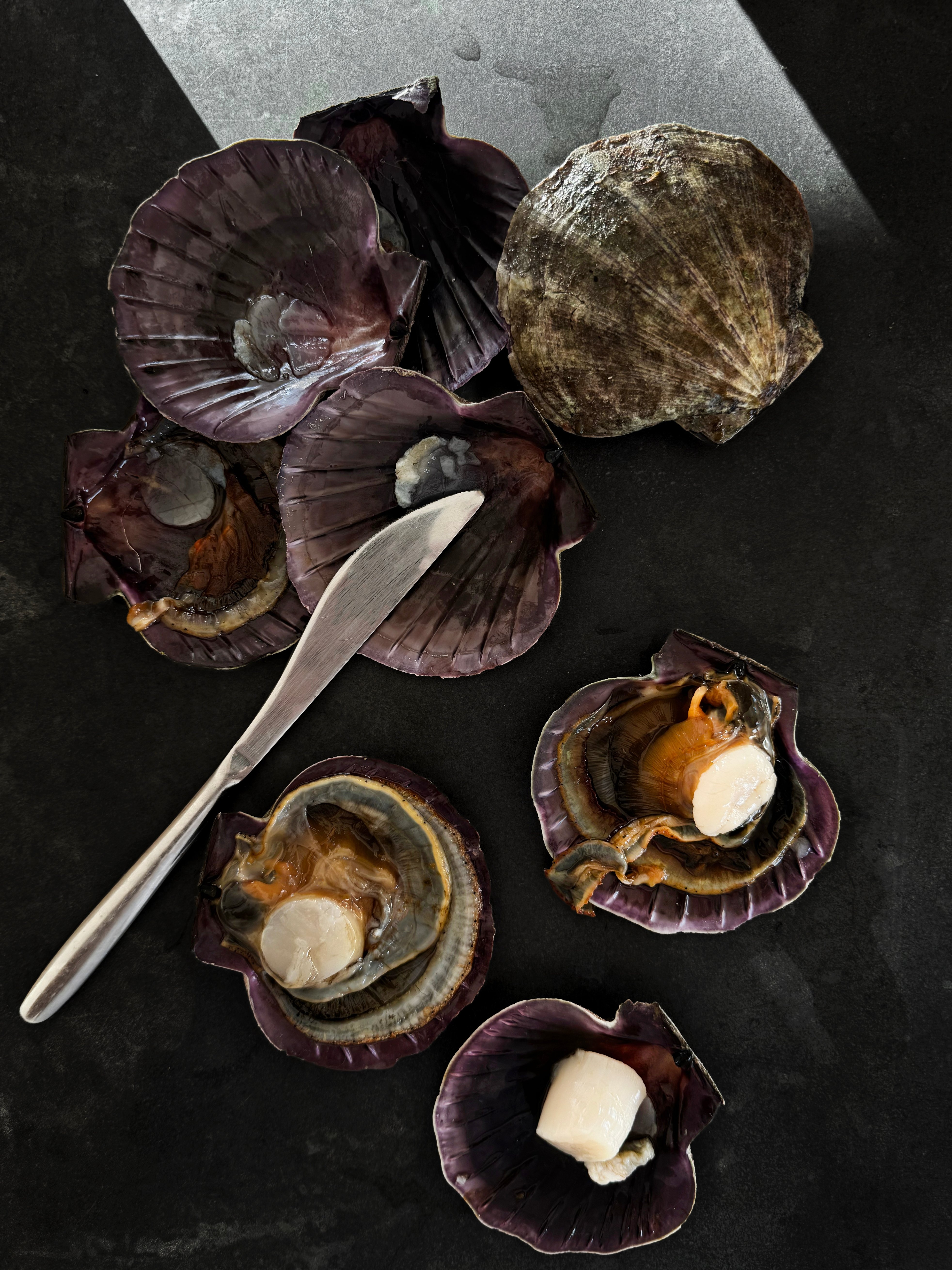 Scallops in their shells.