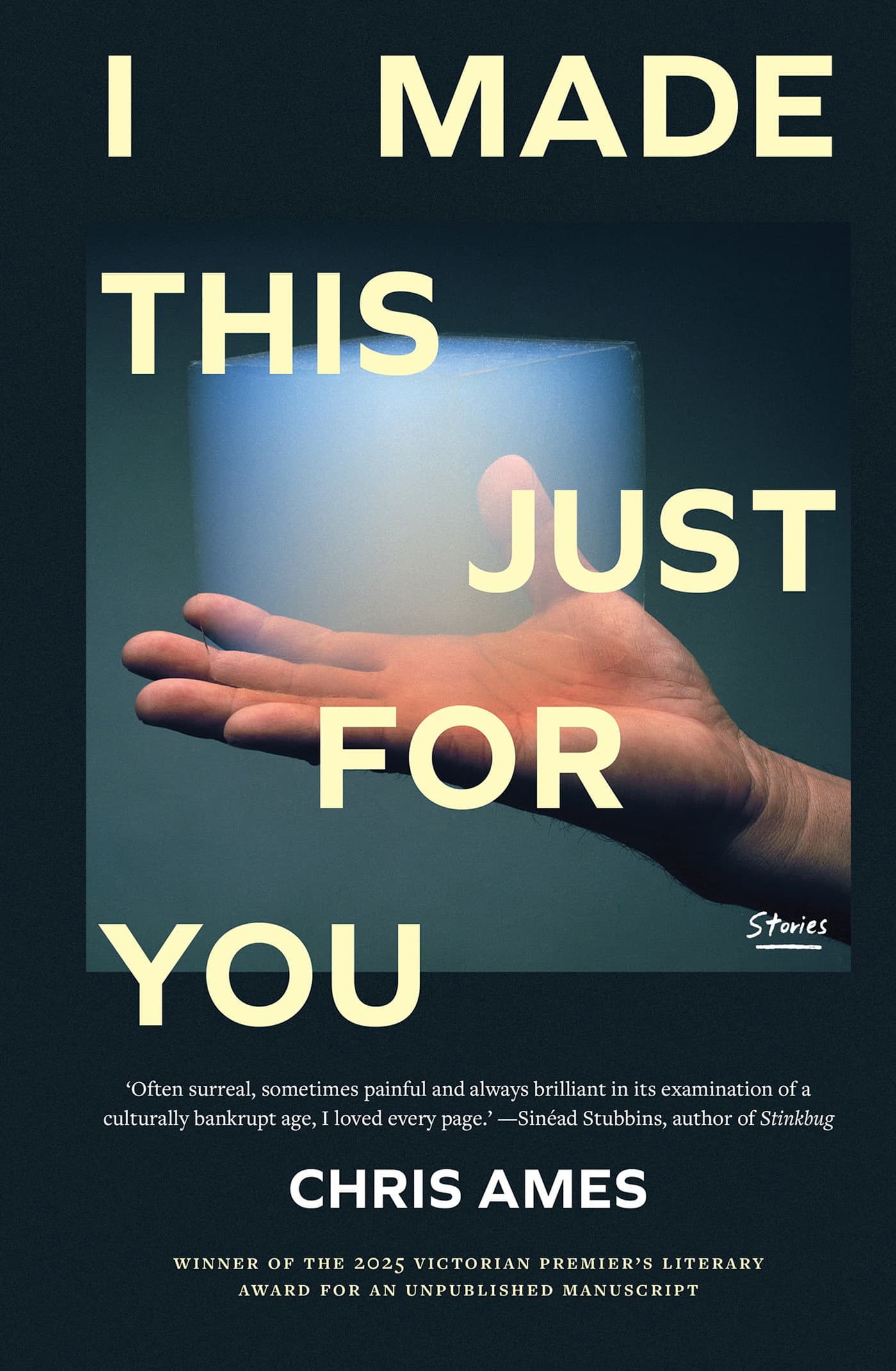 Book cover of Chris Ames's I Made This Just  for You 