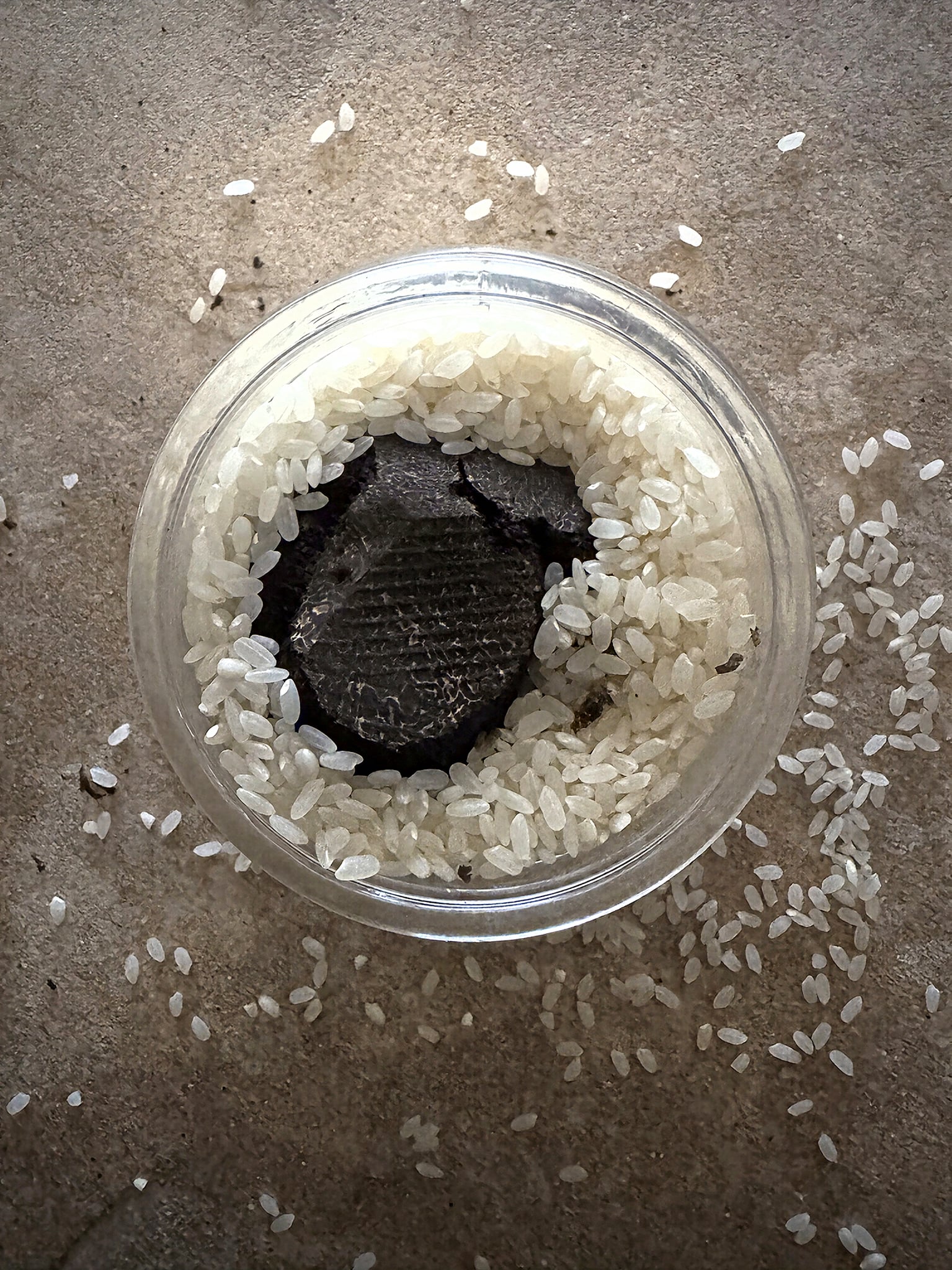 Rice and black truffle in a jar.