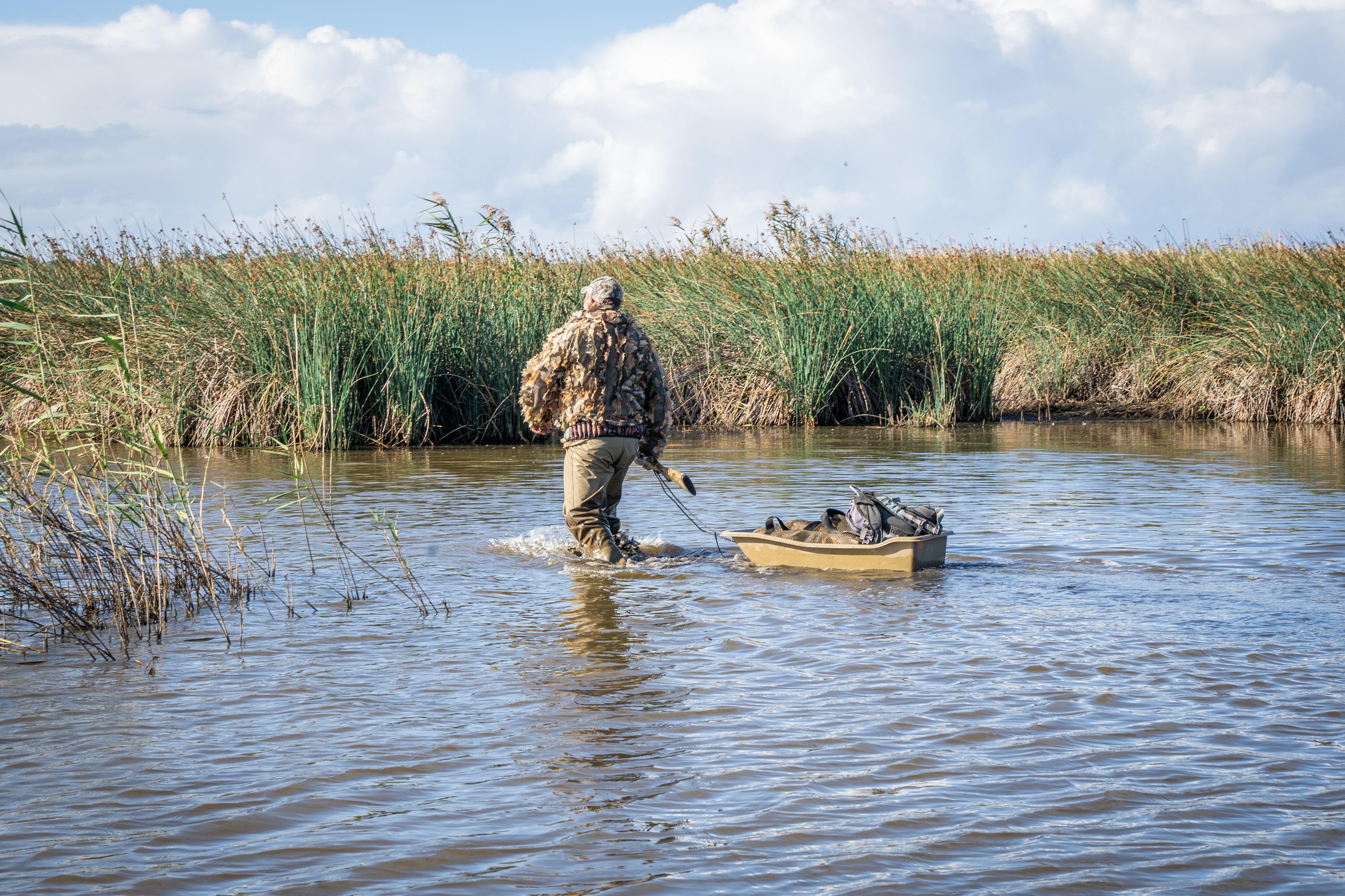A duck hunter wades through water near Lake Connewarre, south-east of Geelong.