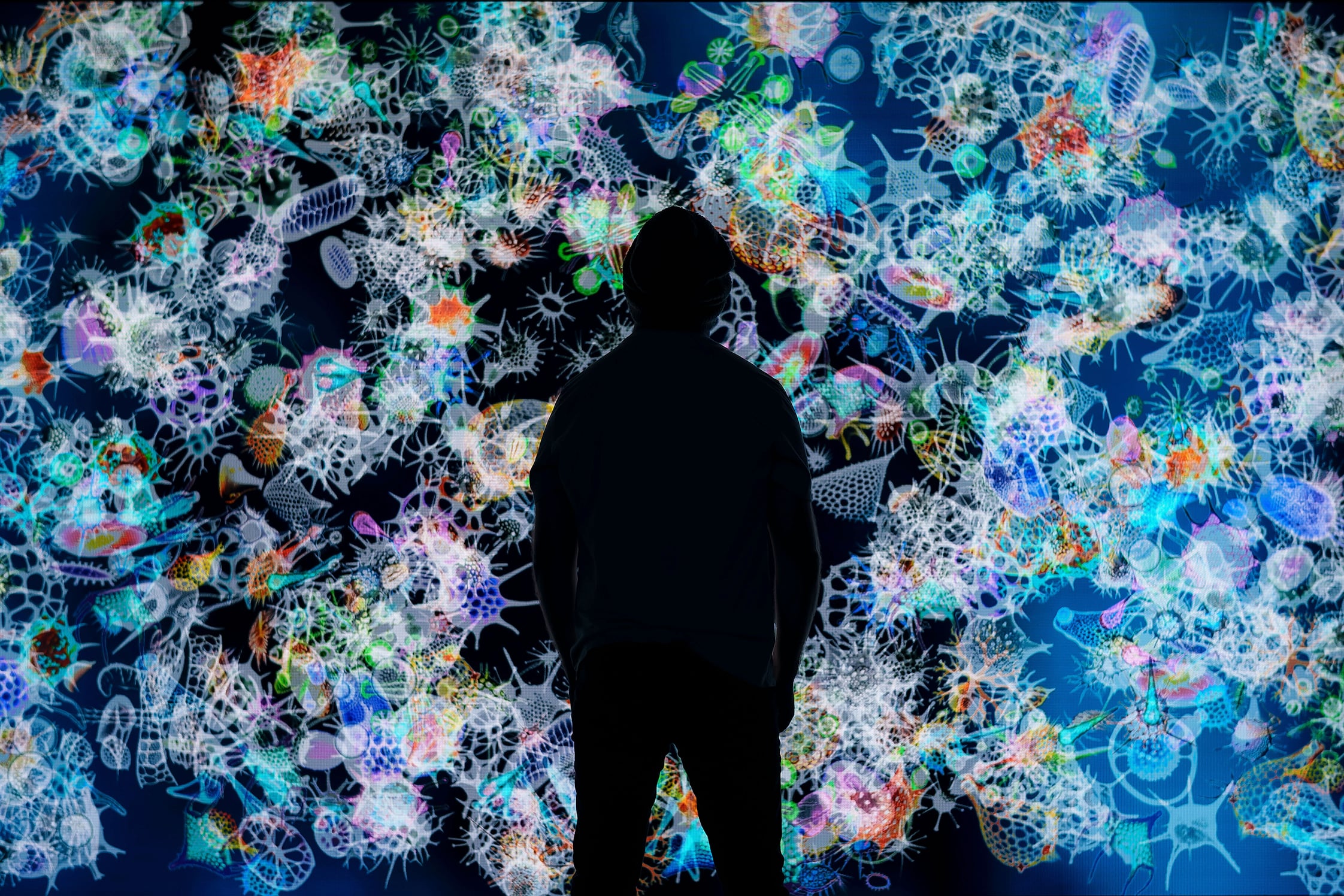 Miguel Chevalier’s Digital Plankton.