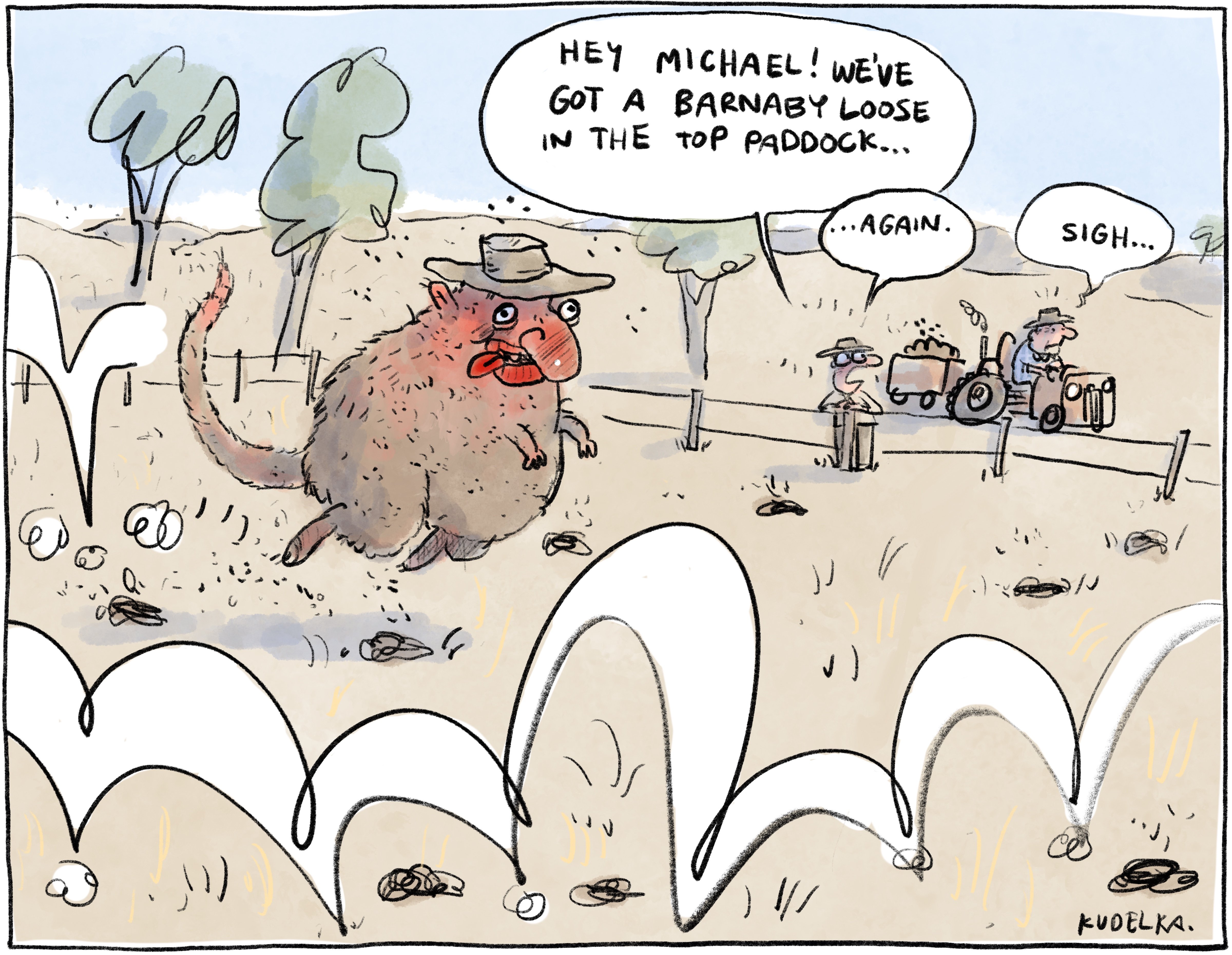 Jon Kudelka cartoon, February 8, 2020