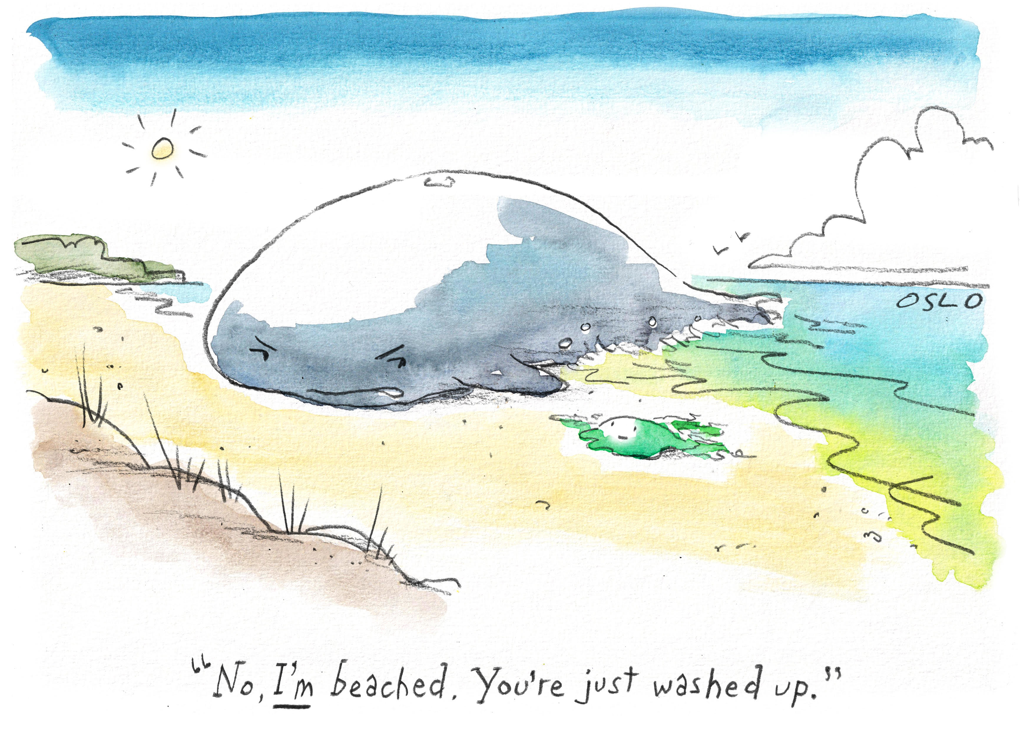Oslo Davis cartoon, December 7, 2024