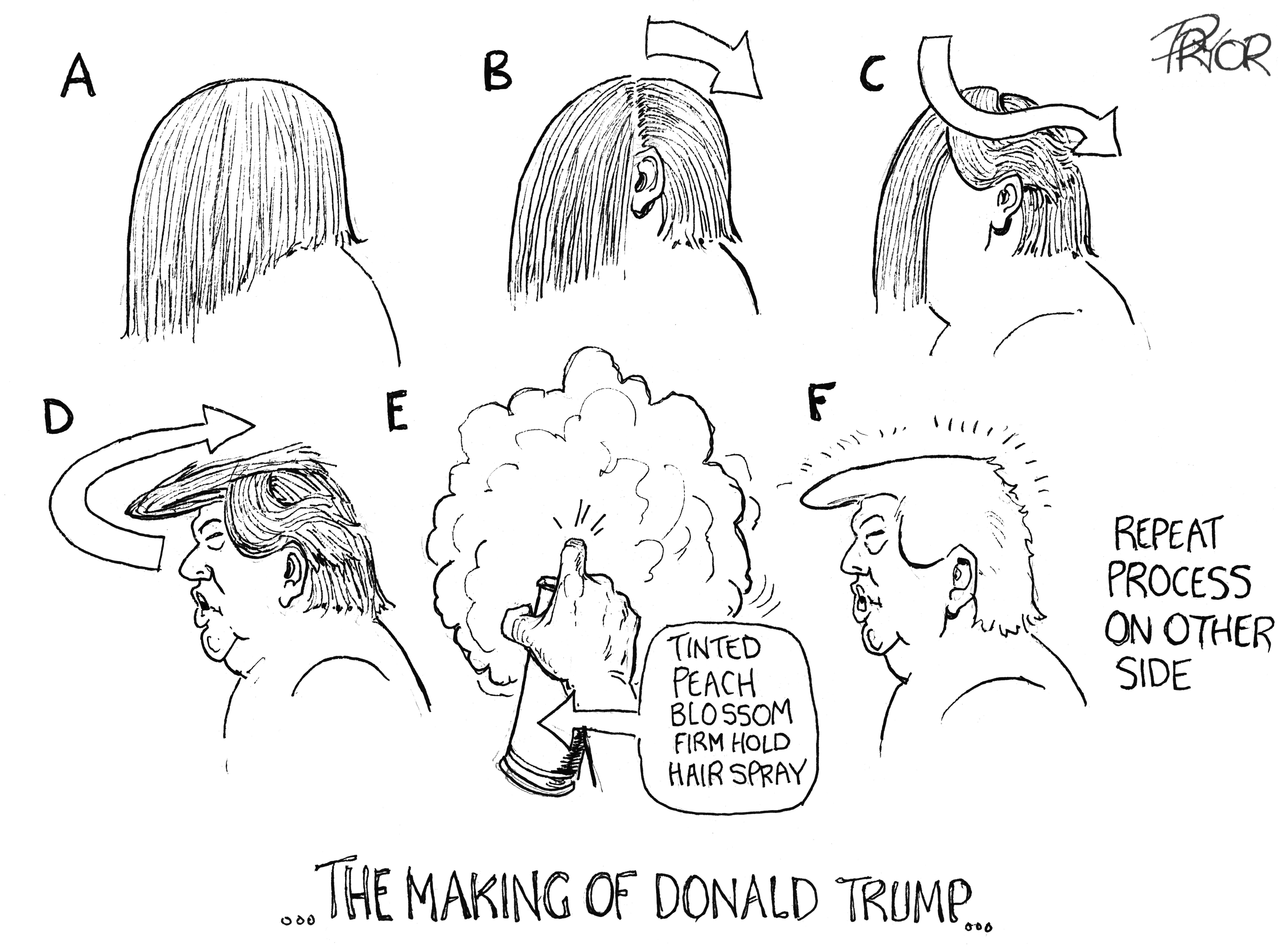 Geoff Pryor cartoon, April 1 2017