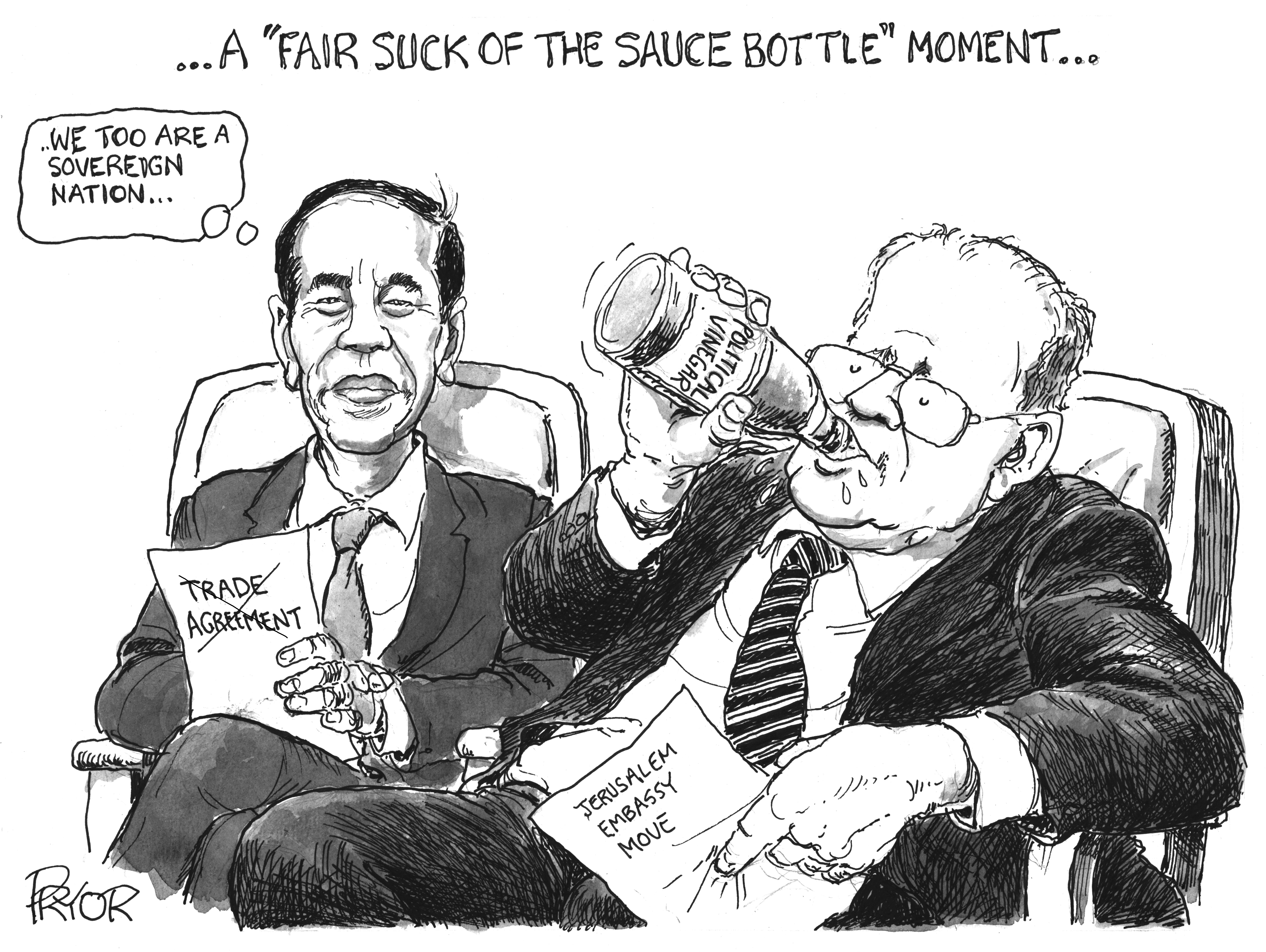 Geoff Pryor cartoon, November 17-23, 2018