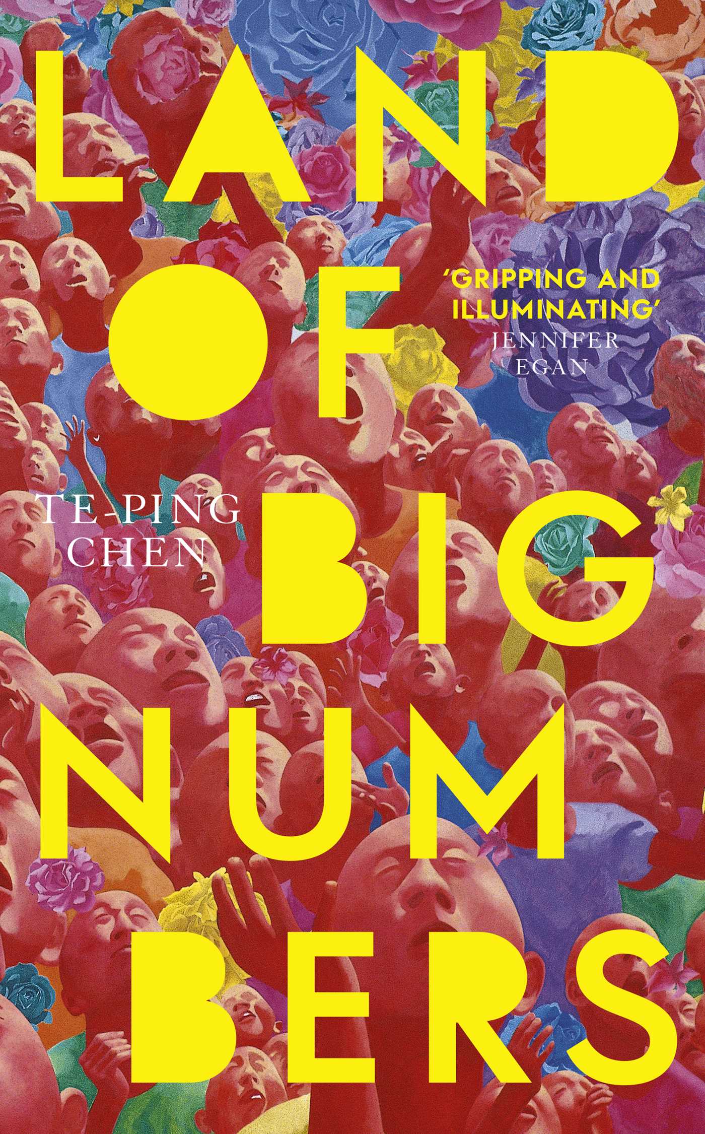 Land of Big Numbers 