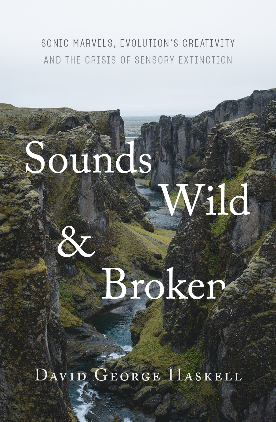 Sounds Wild and Broken: Sonic Marvels, Evolution’s Creativity and the Crisis of Sensory Extinction