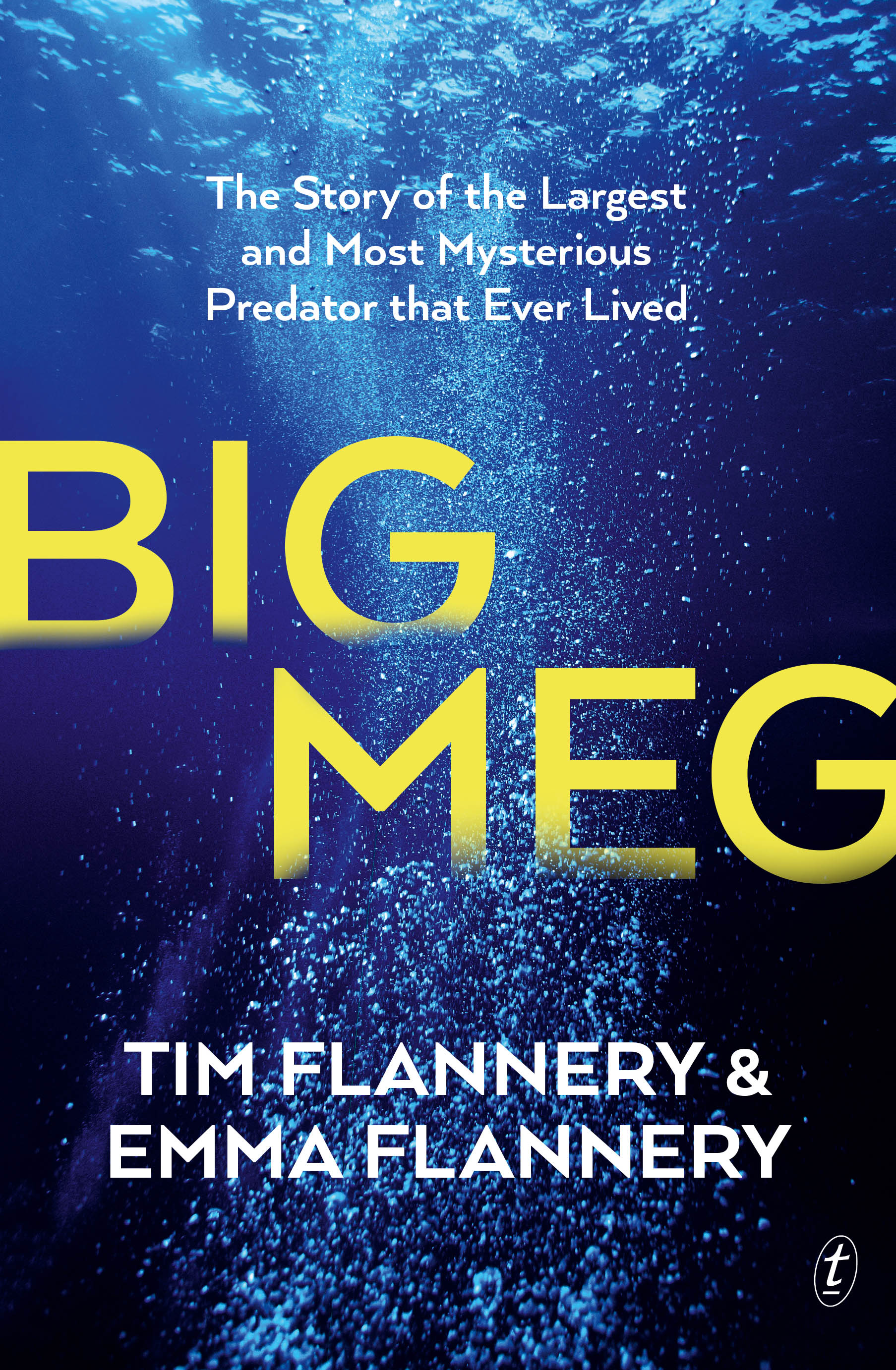 Book cover: an underwater shot angled back at the ocean surface.