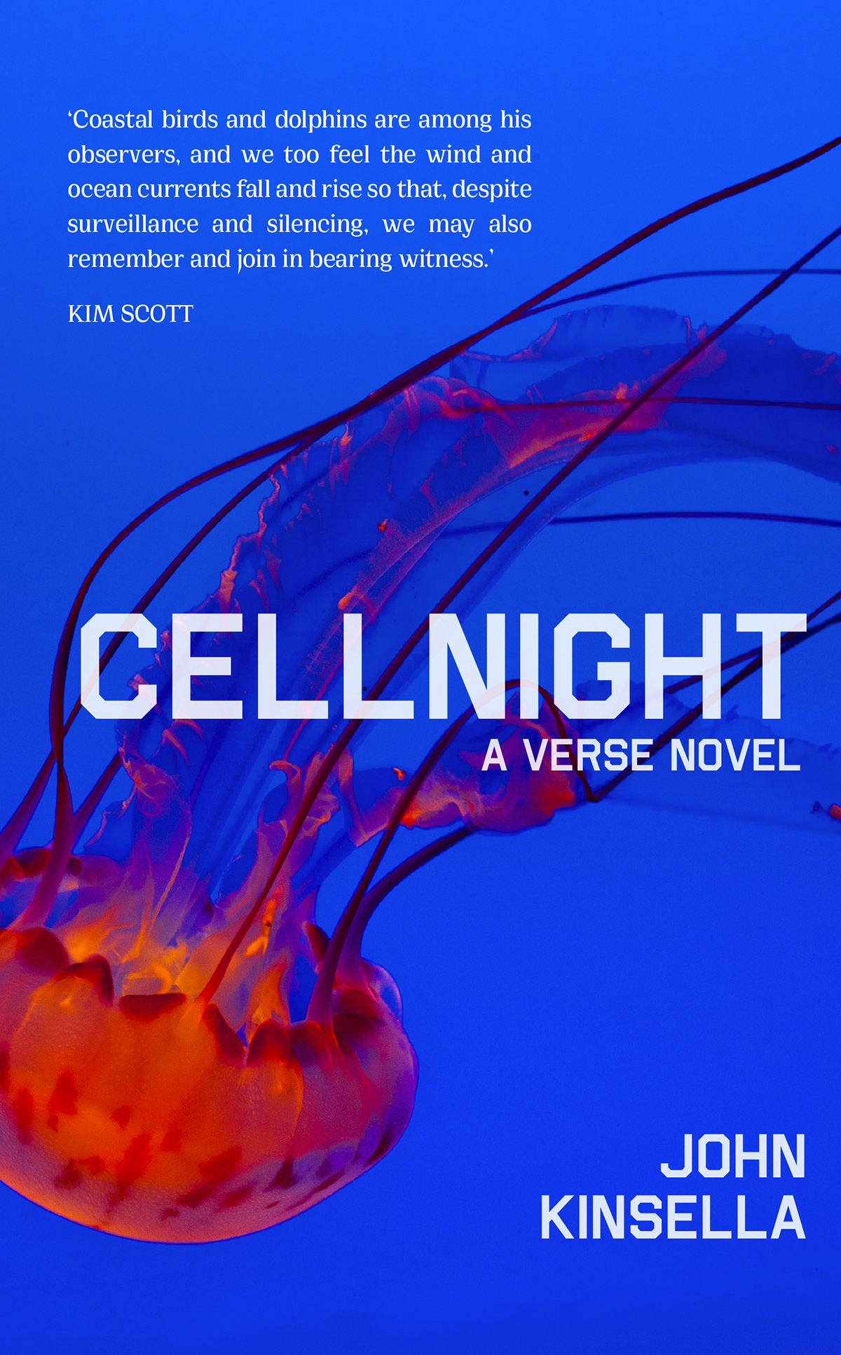 Bok cover: A jellyfish floating upside down.