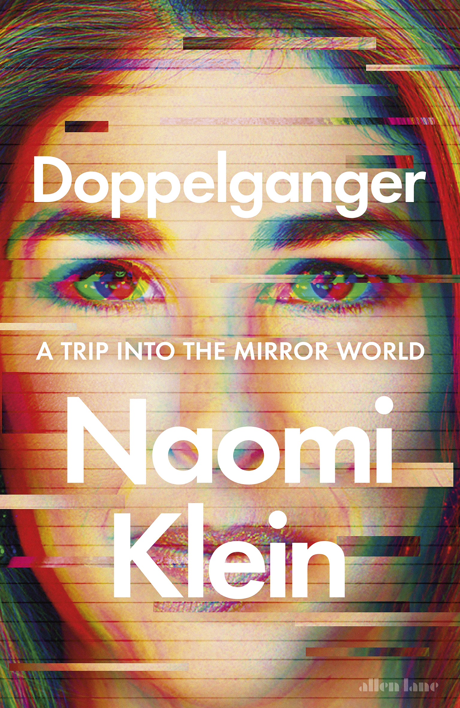 Book cover: a distorted portrait image of a woman.