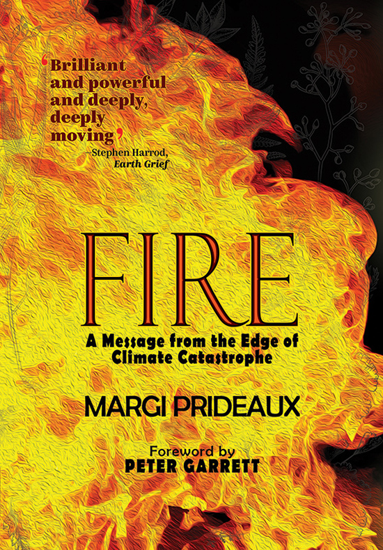 The title of the book is in large red text, with the rest of the cover taken up by orange-red flames