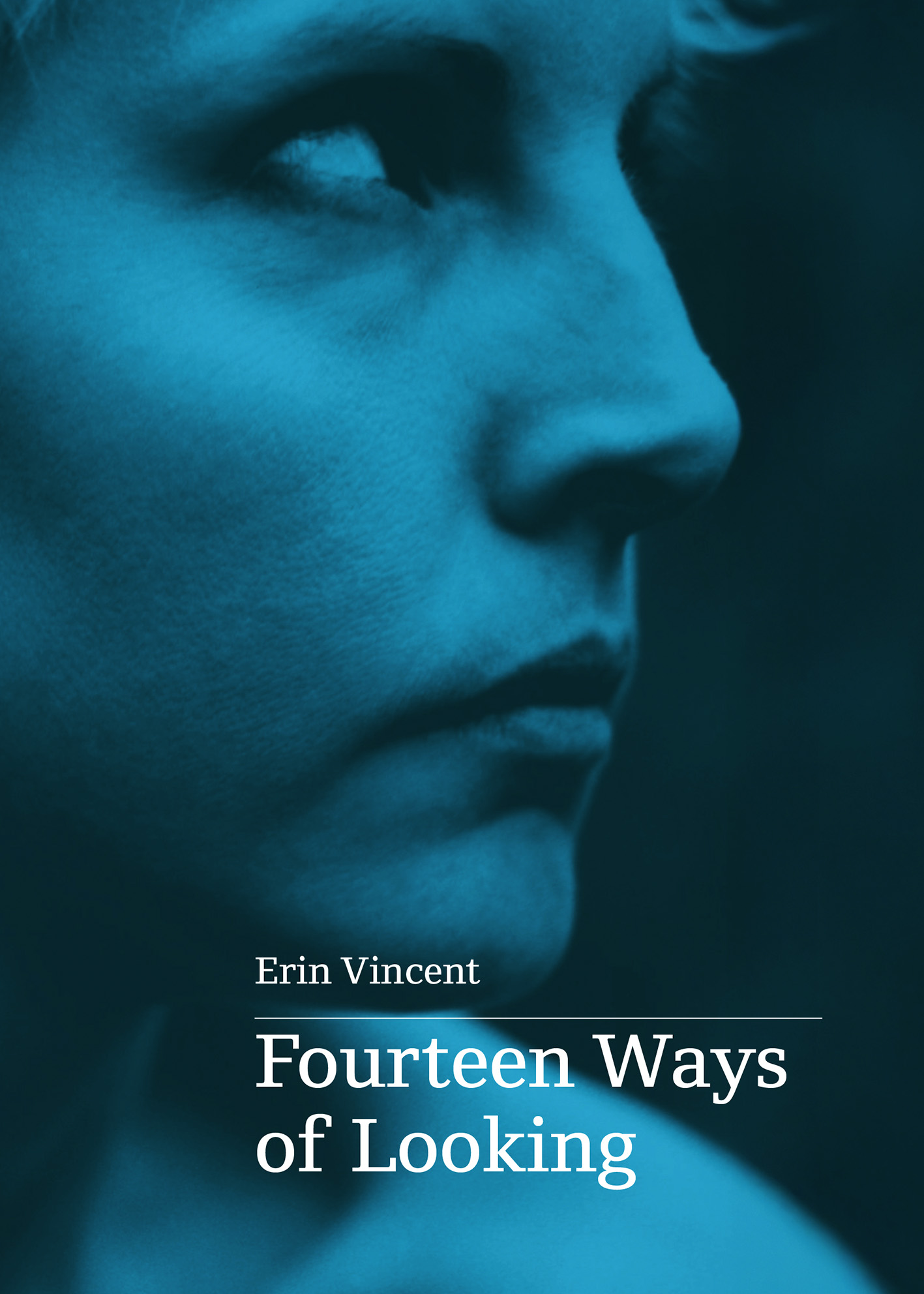 Fourteen Ways of Looking 