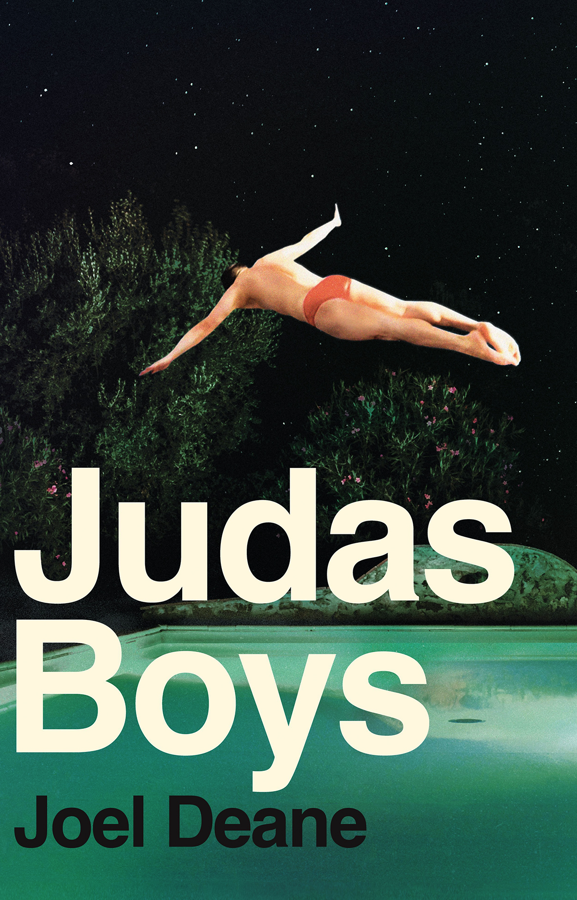 Book cover: A man in speedos jumping into a suburban swimming pool.