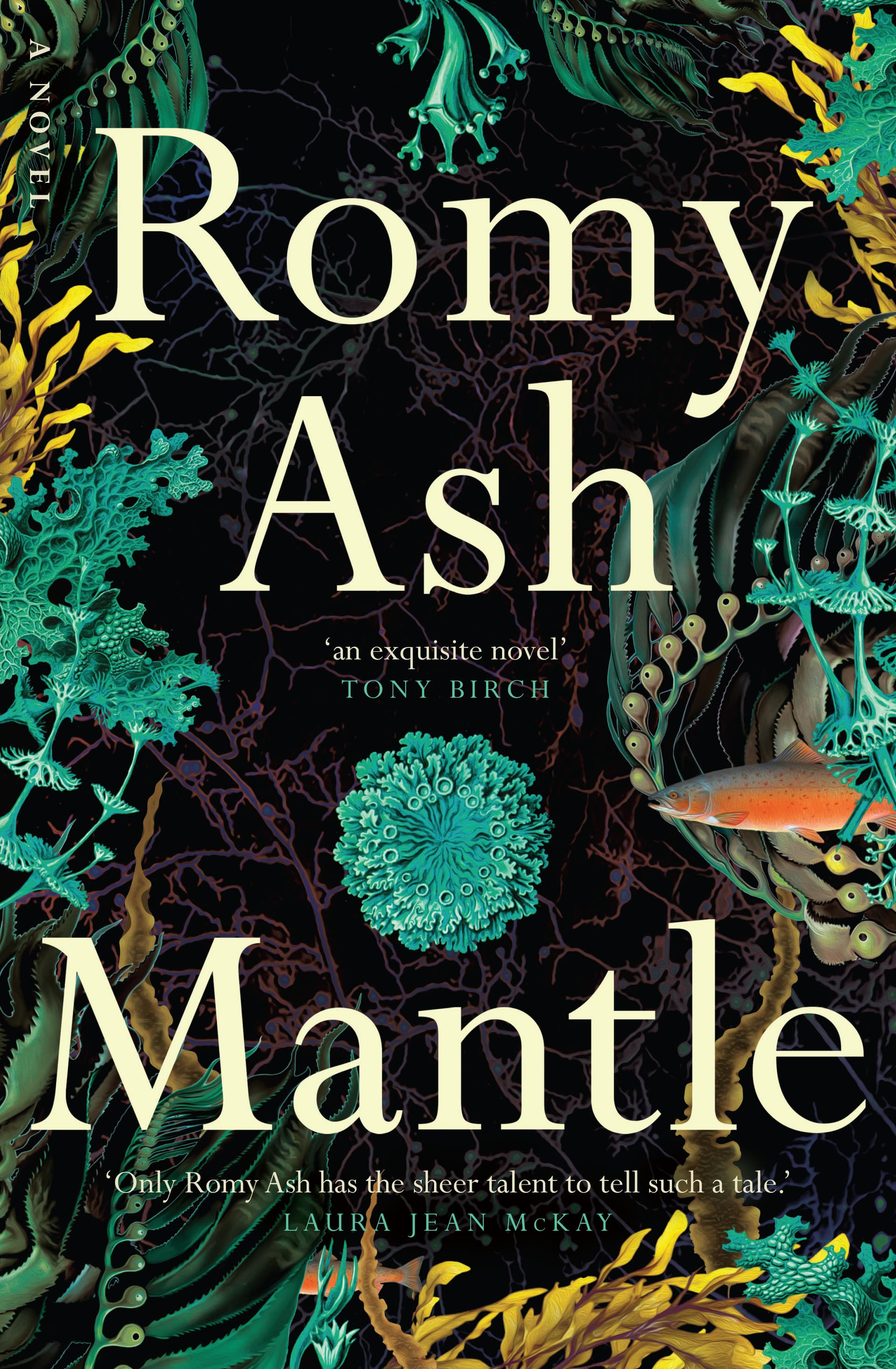 Mantle cover.