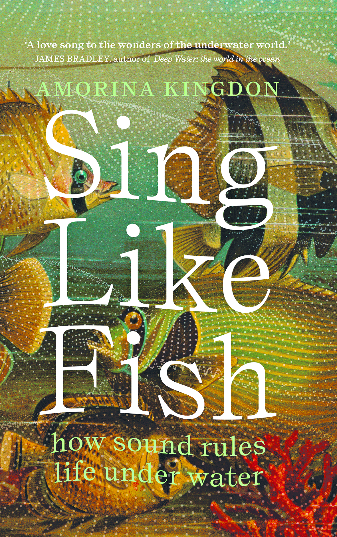 Sing Like Fish