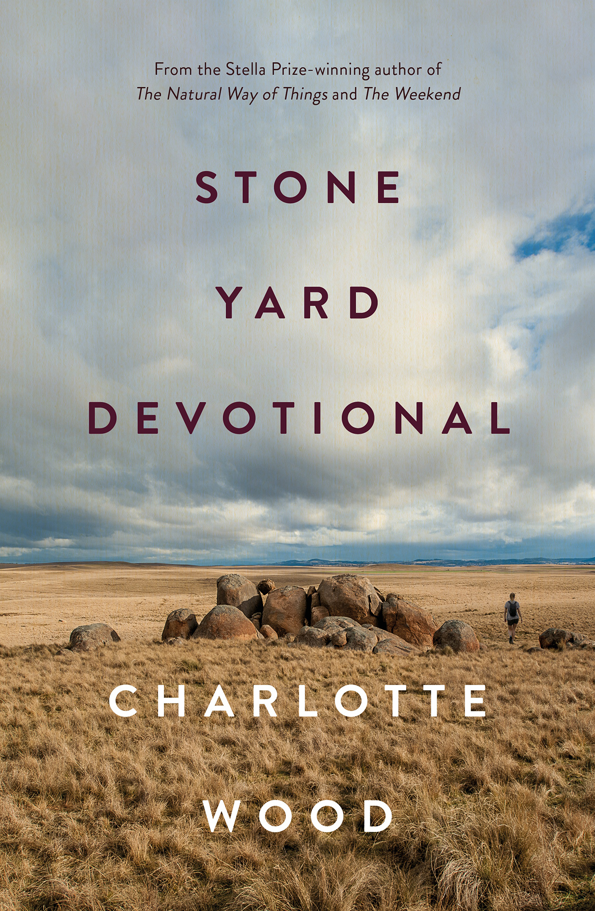 Book cover: A pile of rocks in the middle of a dry field.
