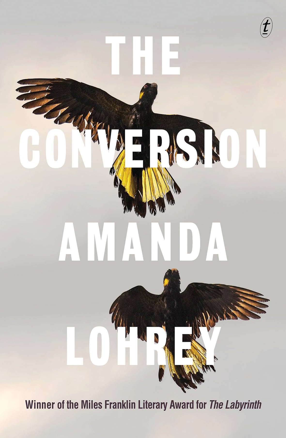 Book cover: two birds in flight.