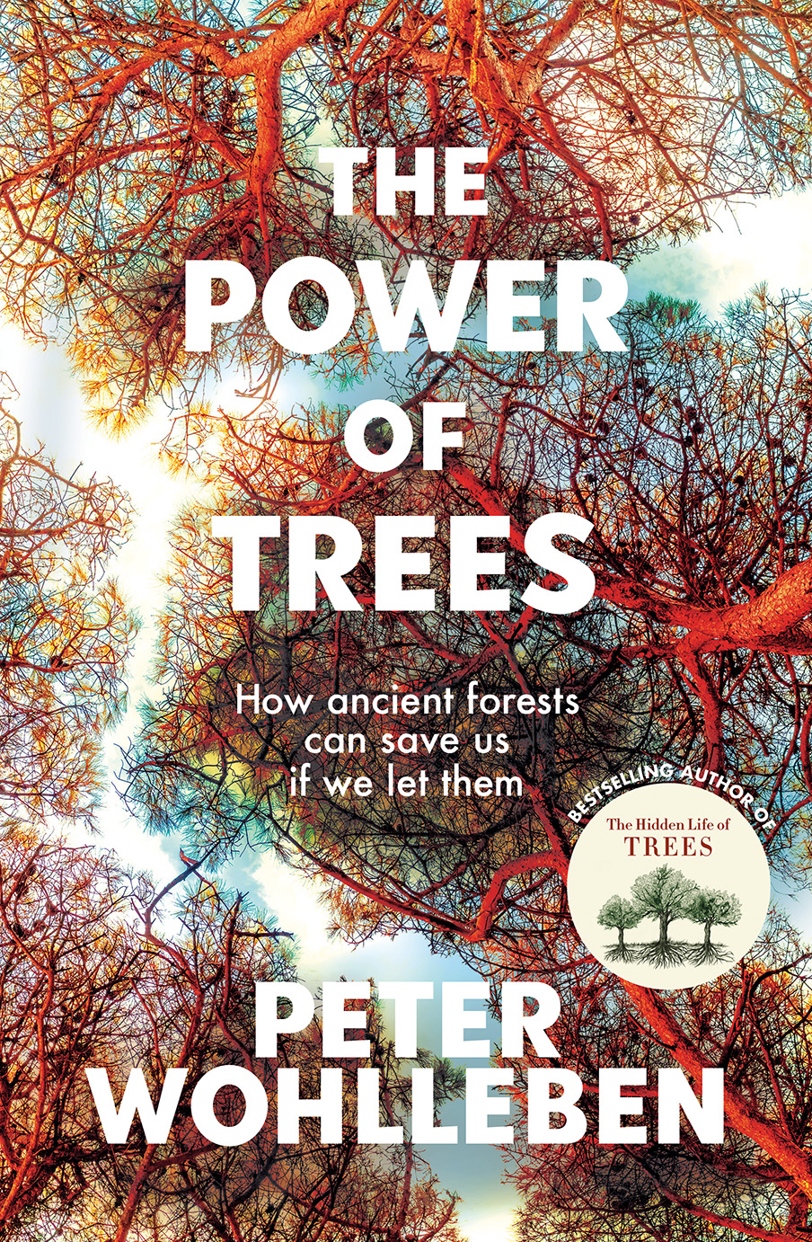 Book cover: an illustration of trees with a blue sky in the background.