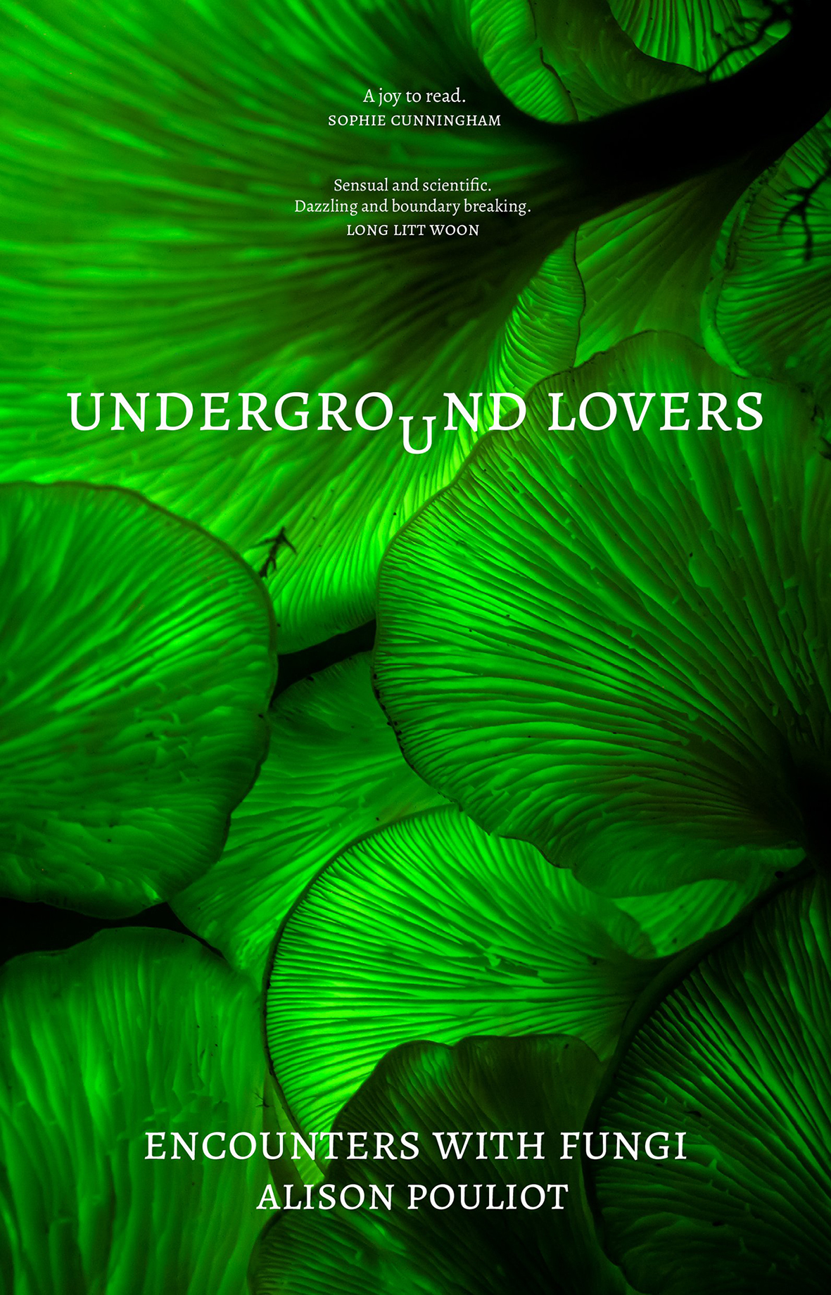 Book cover: Illustration of green leaves. 