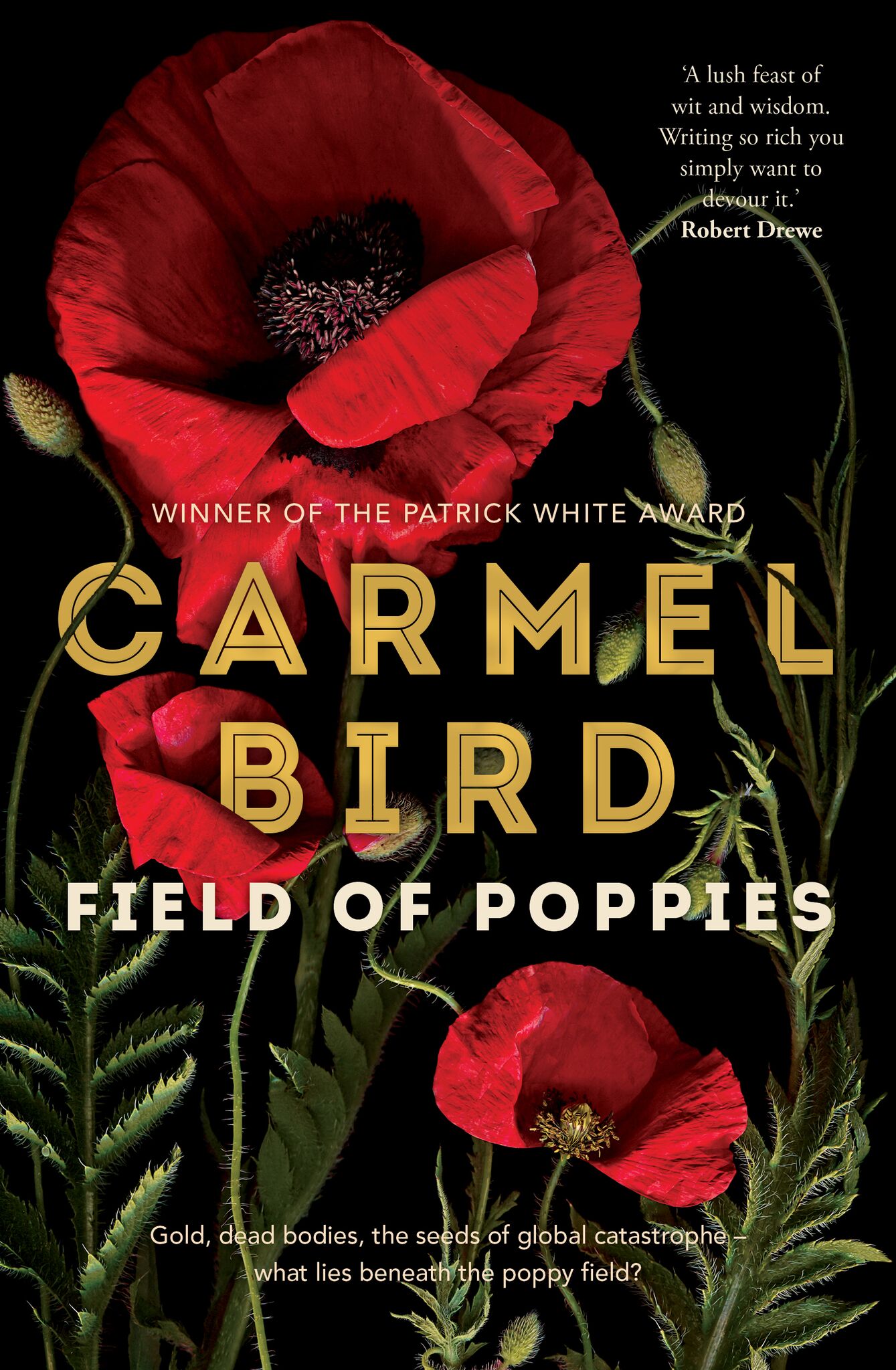 Field of Poppies 