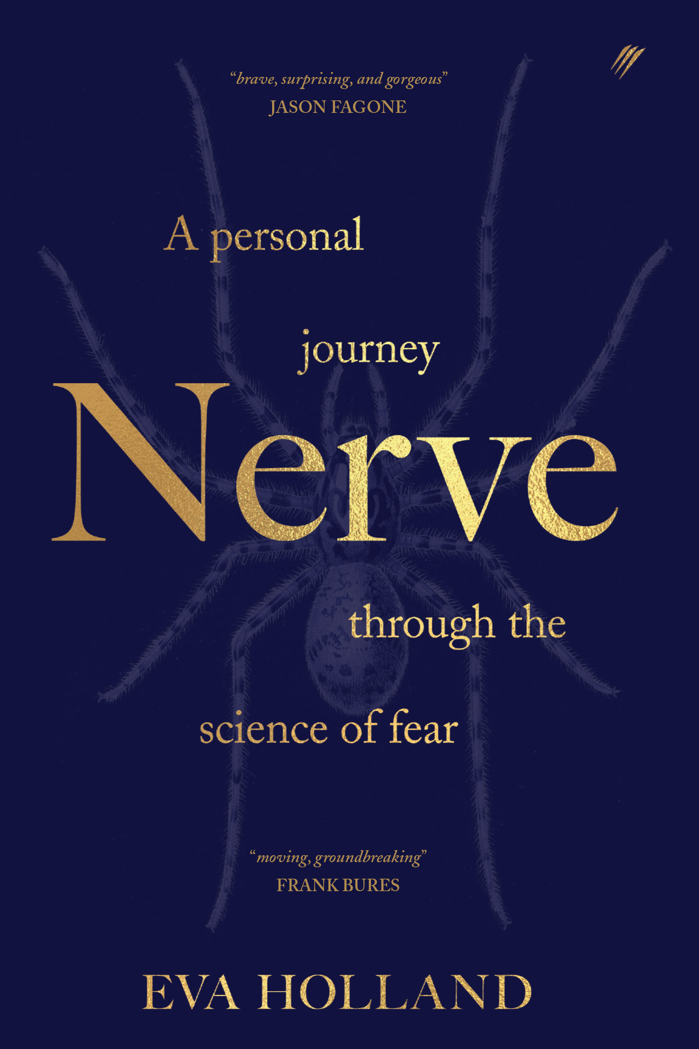 Nerve