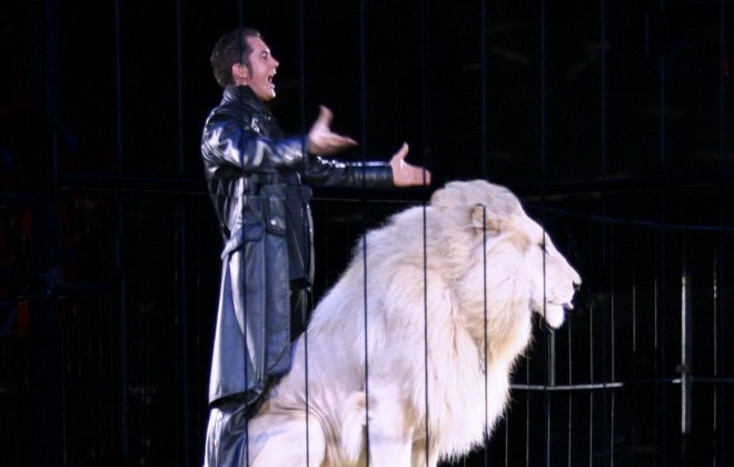 Olympic lion taming