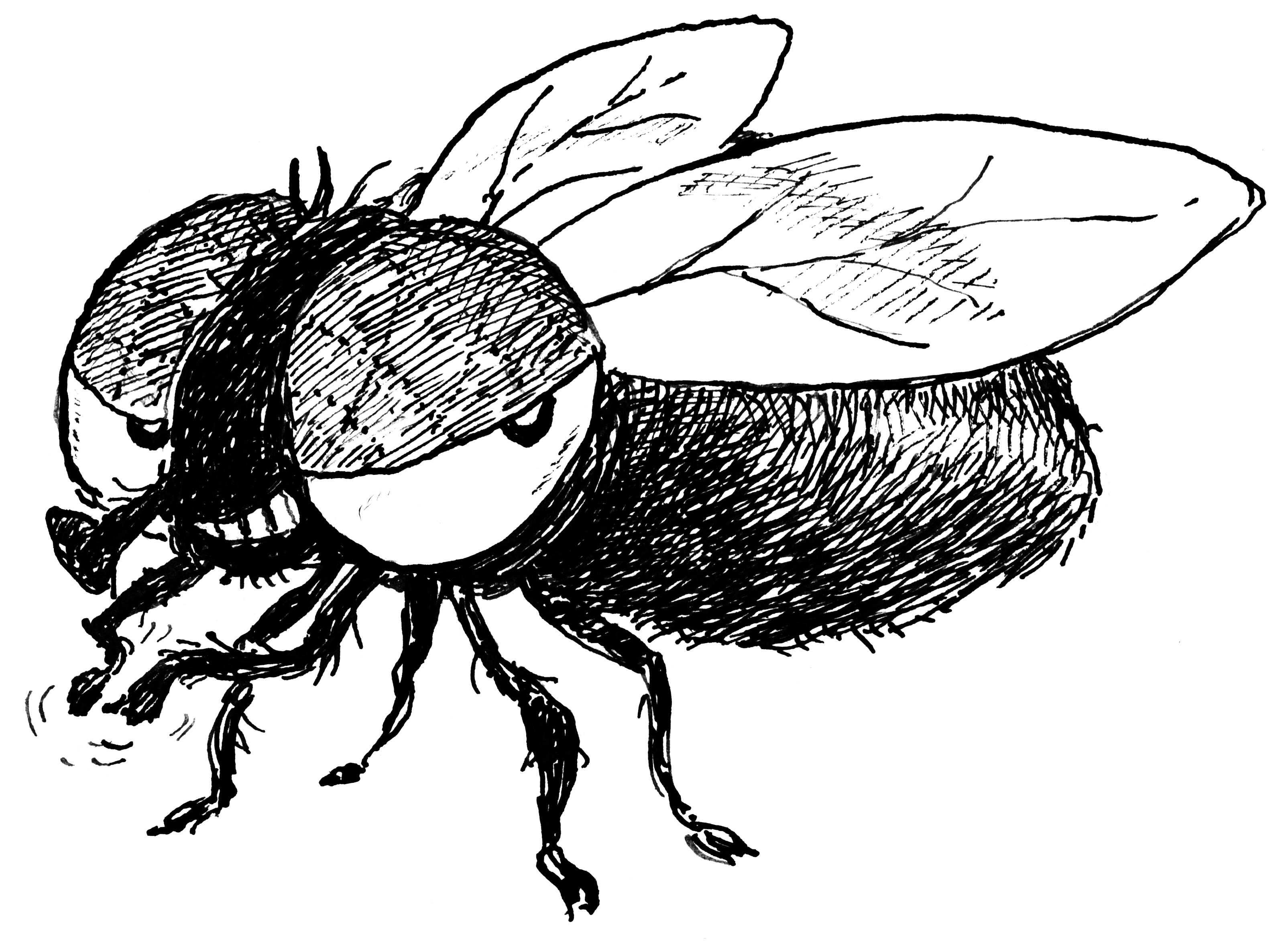Gadfly: Artful dodginess