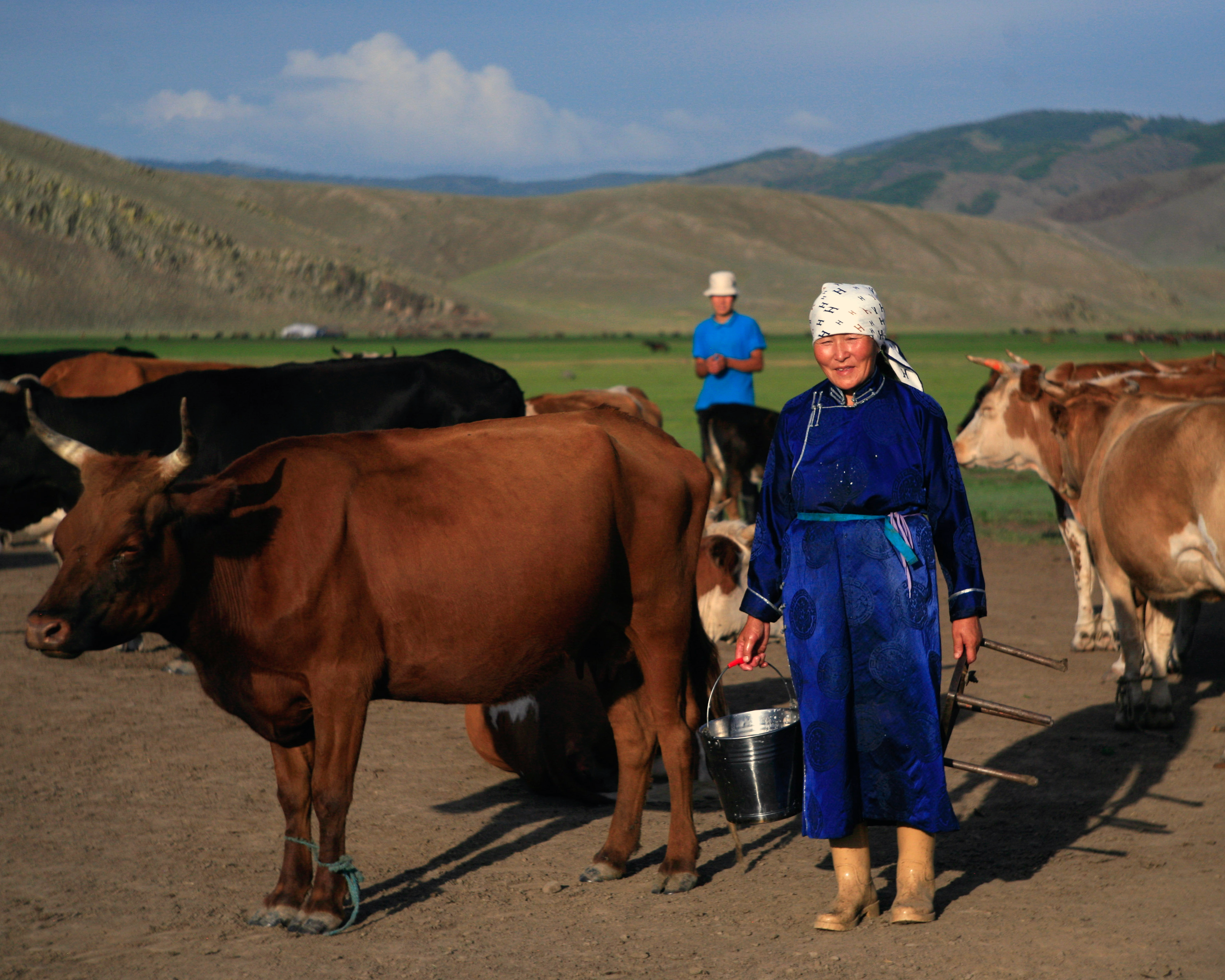 The last Mongolian herders