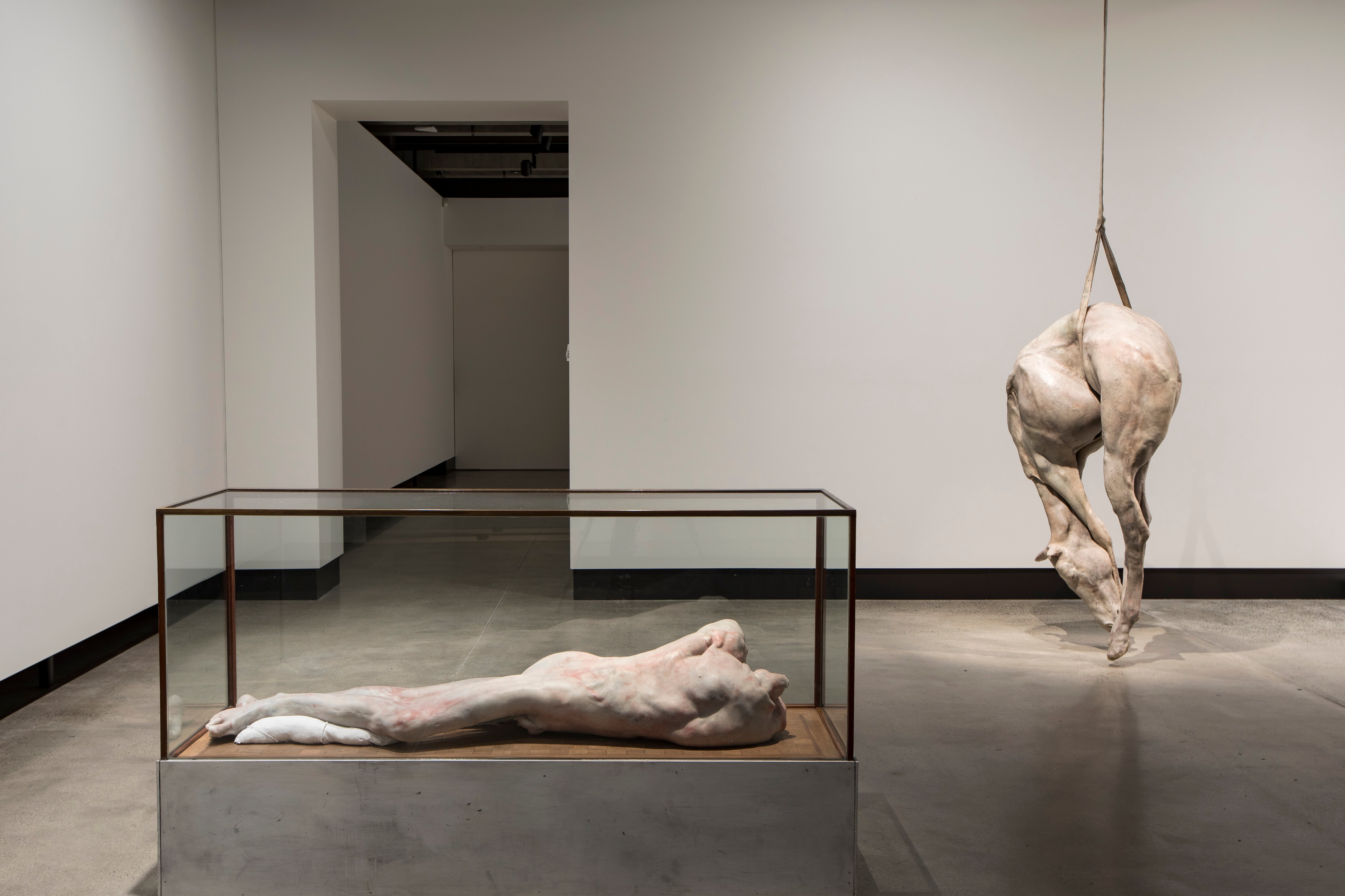 MONA’s ‘On the Origin of Art’