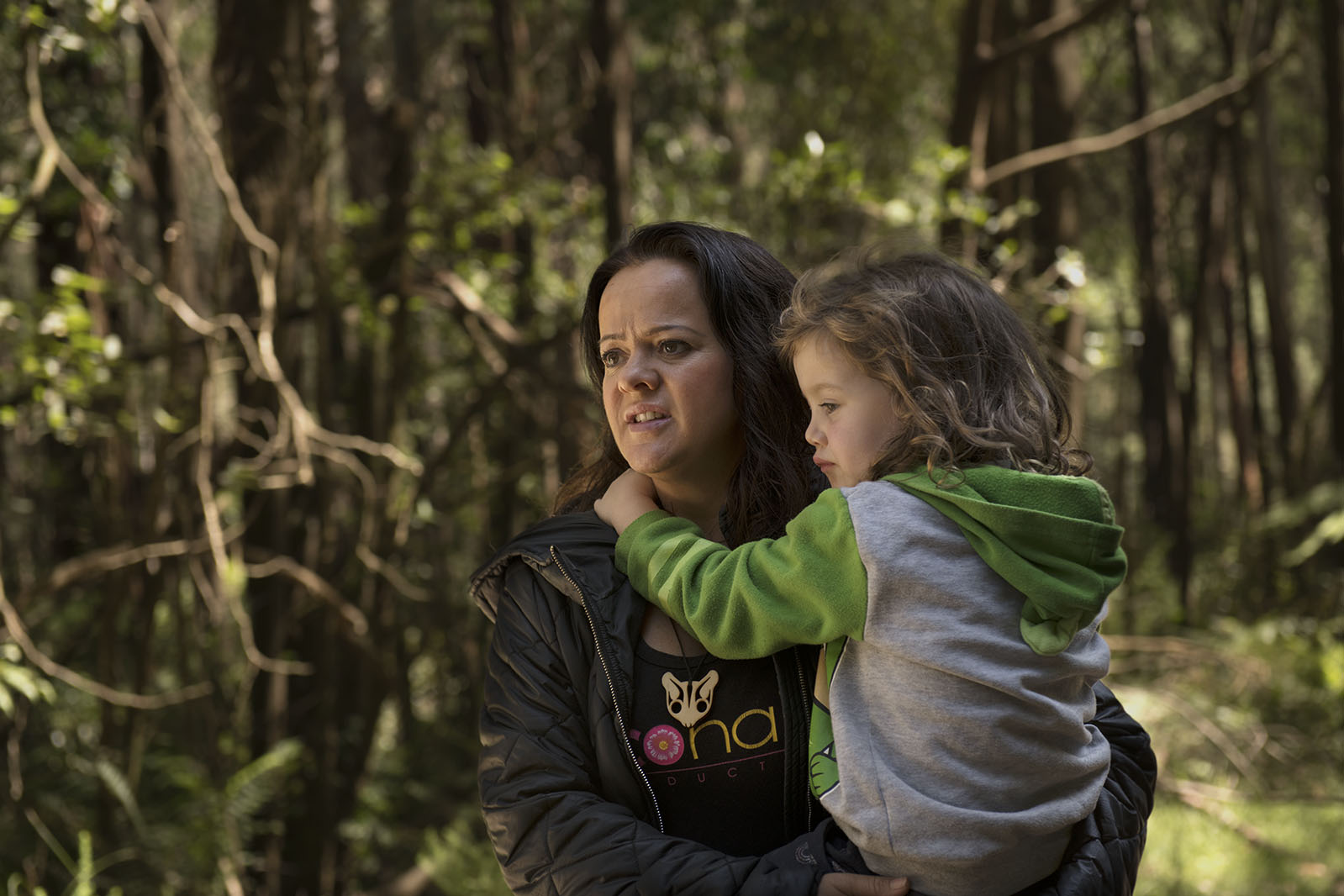 After fires, loggers move into Toolangi forest