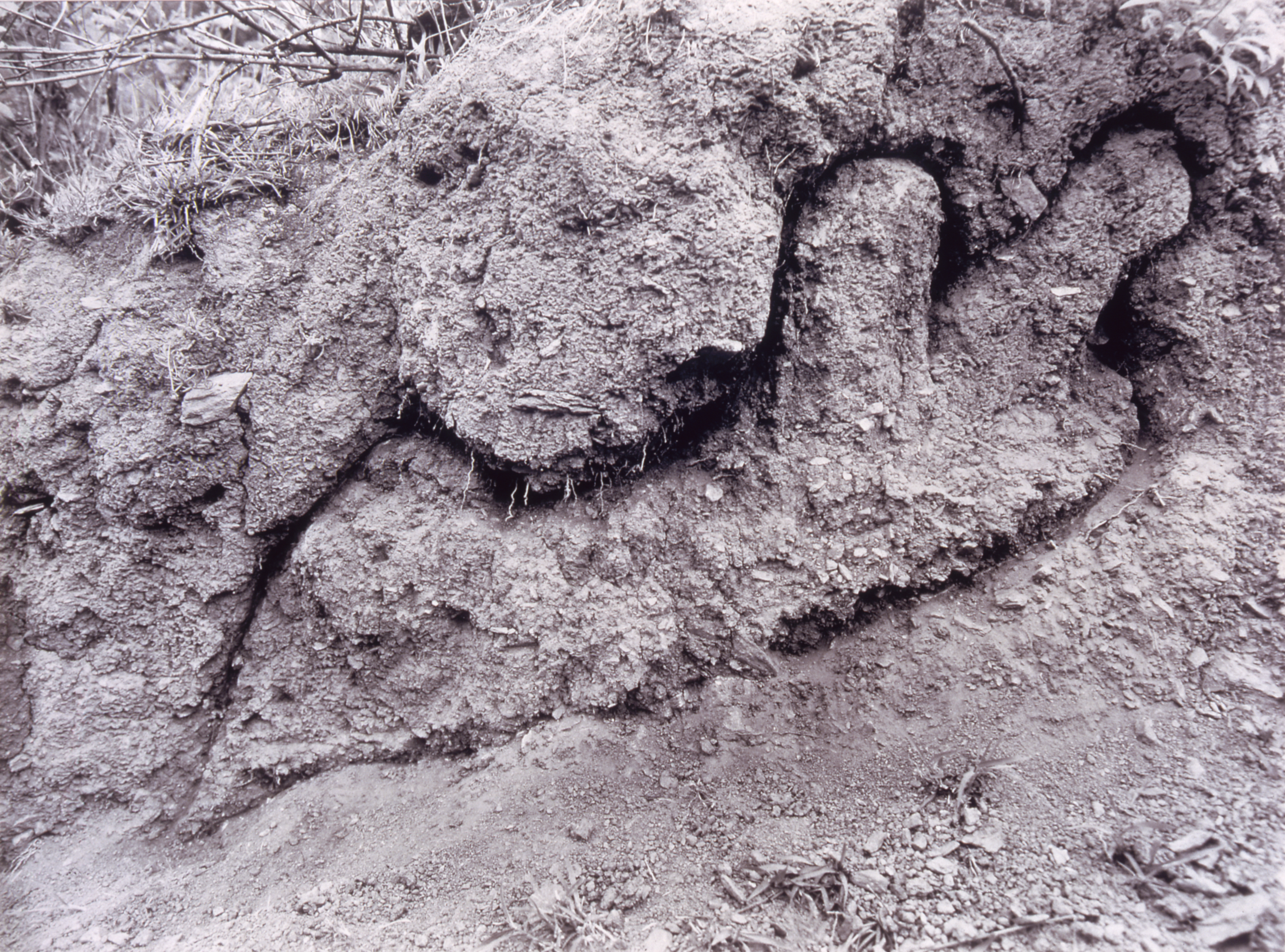 An artwork etched into the earth.