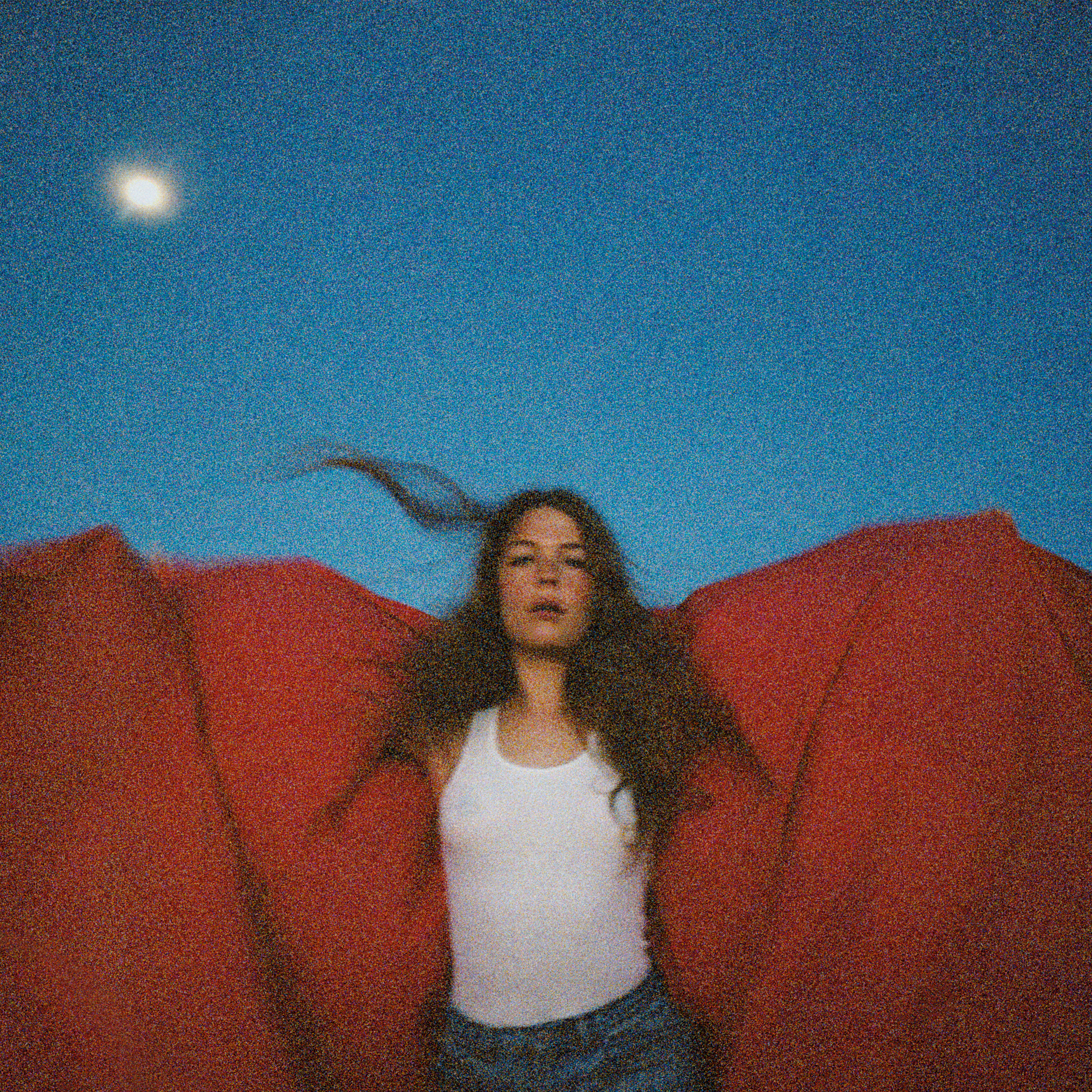 Maggie Rogers’ Heard It in a Past Life