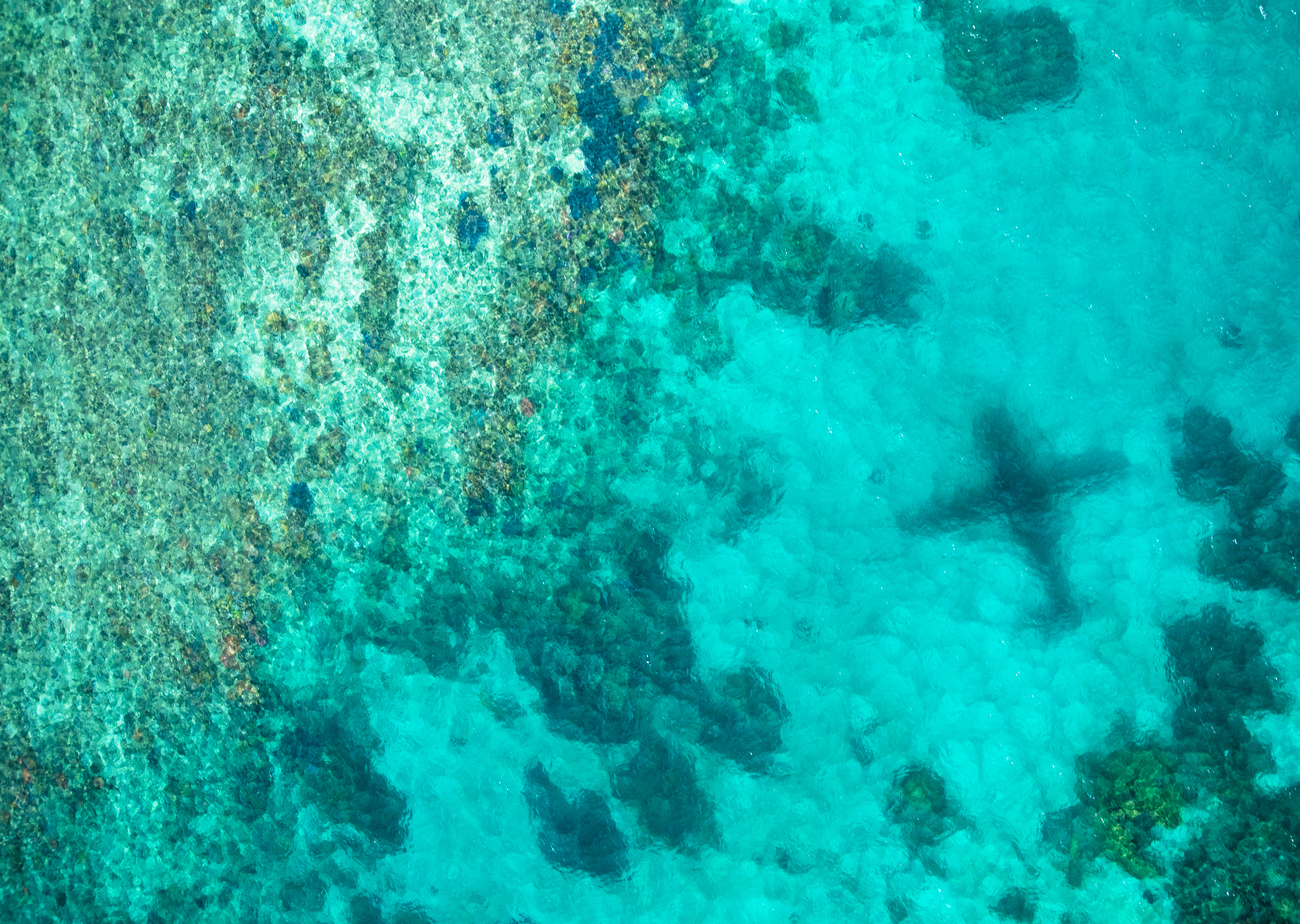 Media silence on the Barrier Reef