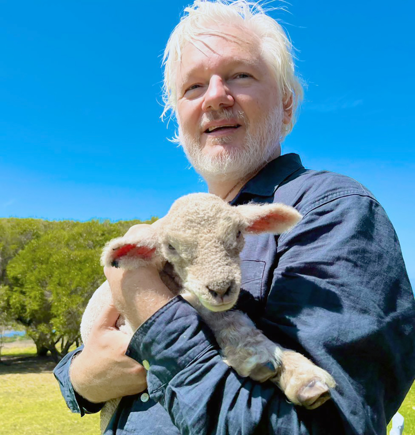 Life after Julian Assange’s release