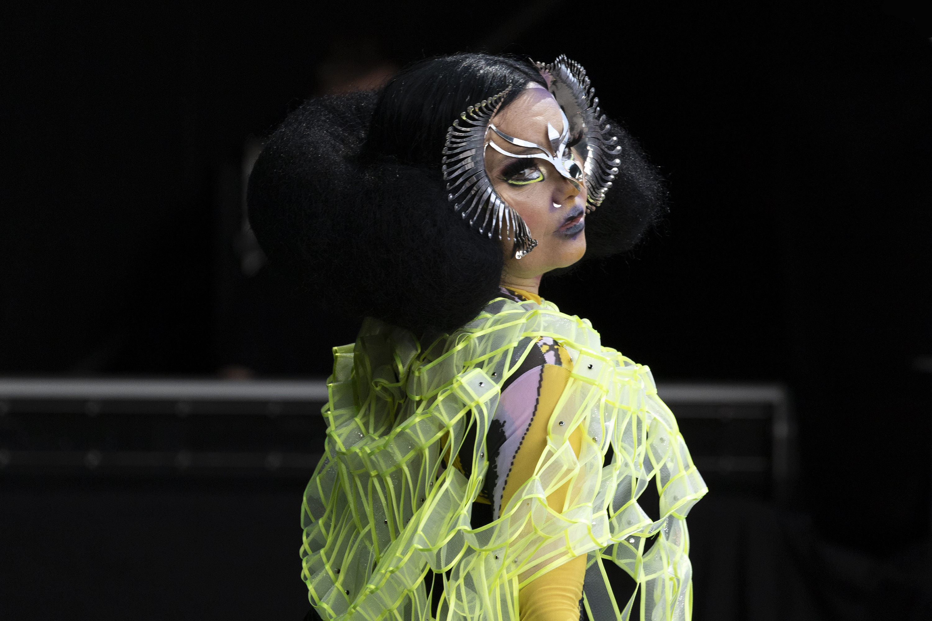 Björk’s <em>Fossora</em>