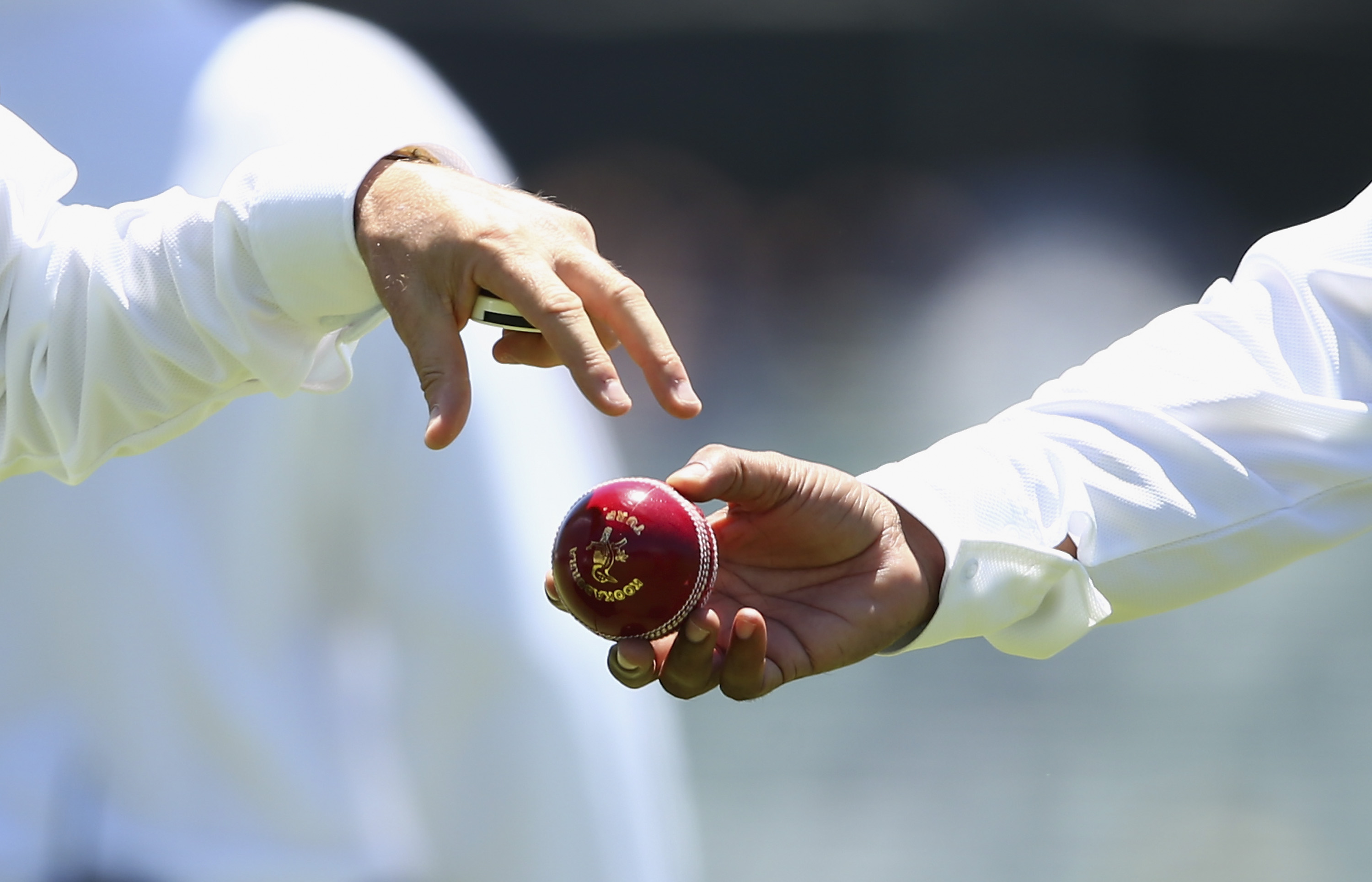 A Kookaburra Turf cricket ball. 