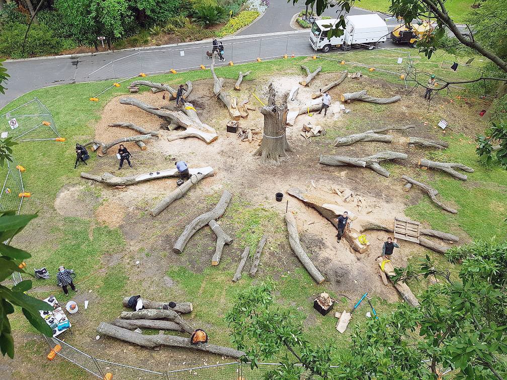 Botanic gardens plan for a drier future