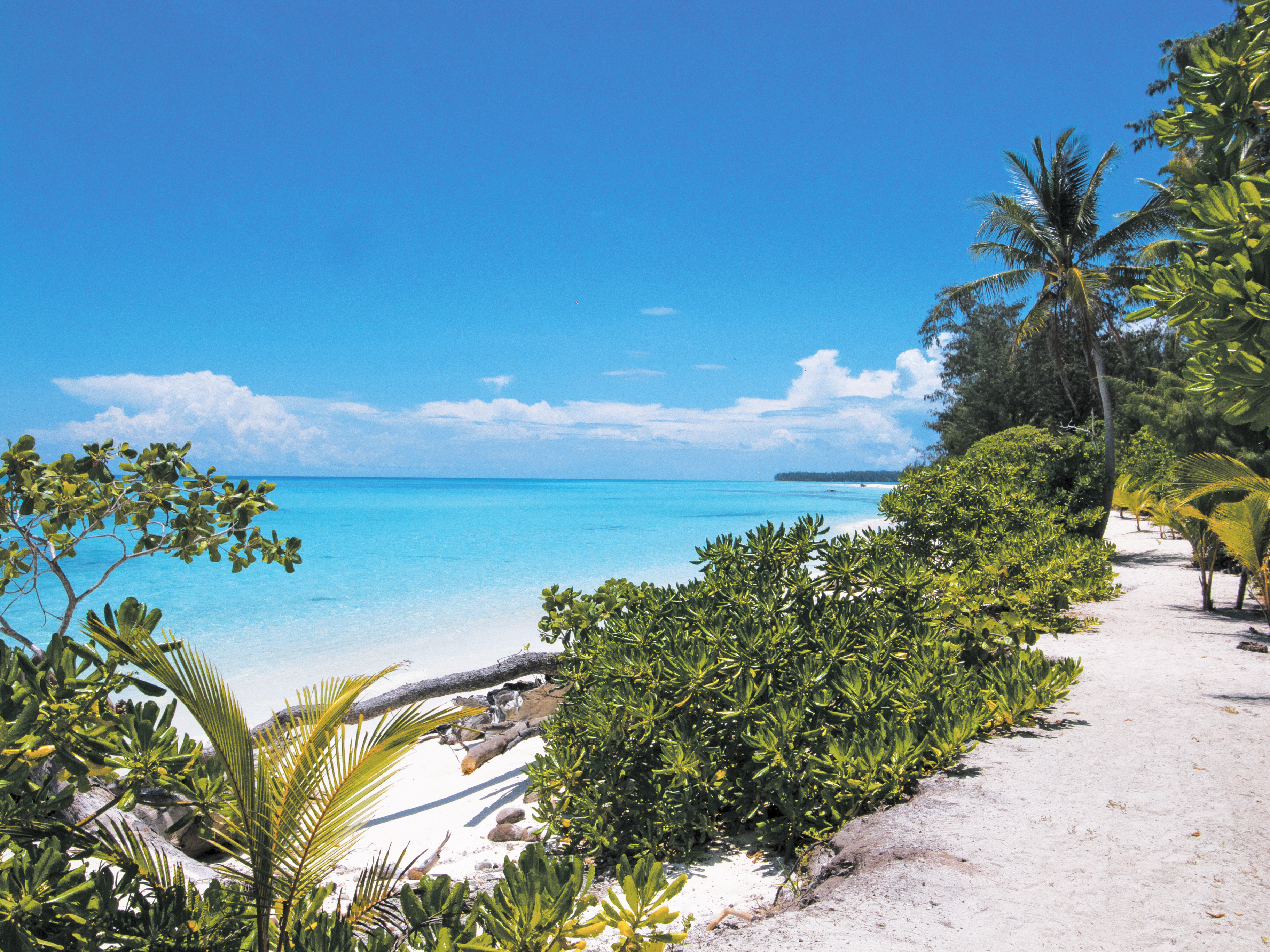Peace on the Conflict Islands