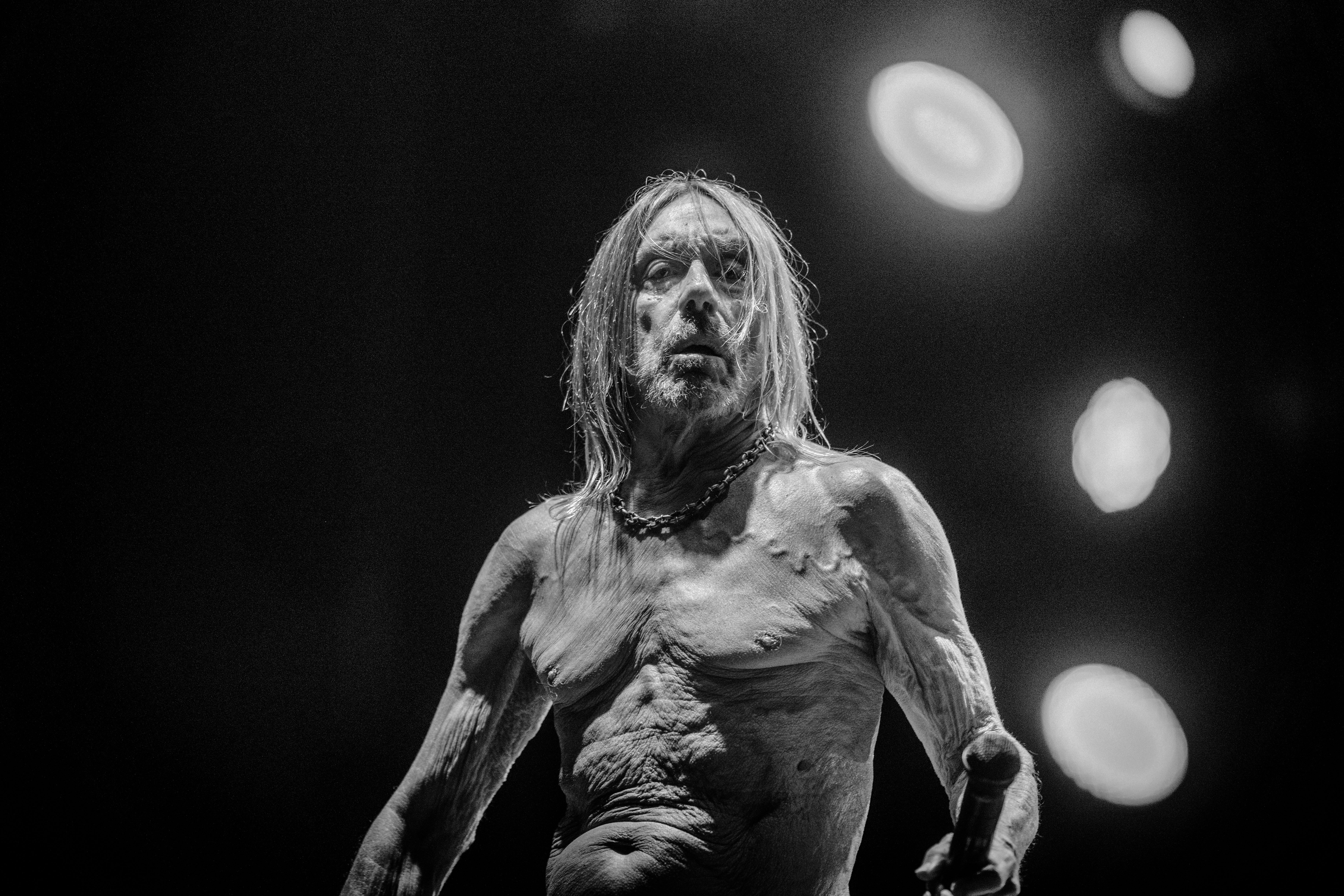 Iggy Pop’s <em>Every Loser</em>
