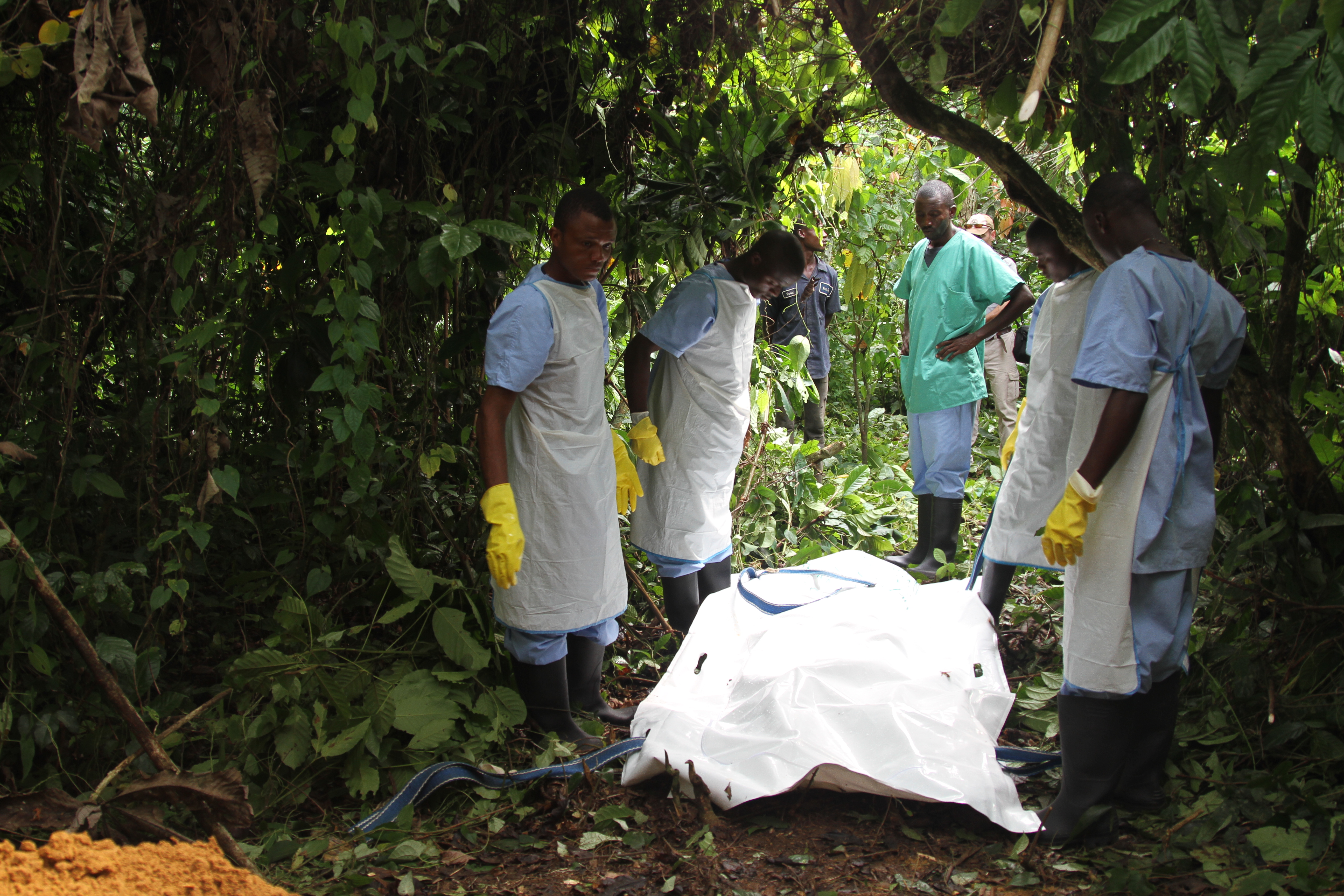 Ebola panic real, but worse contagions are rife