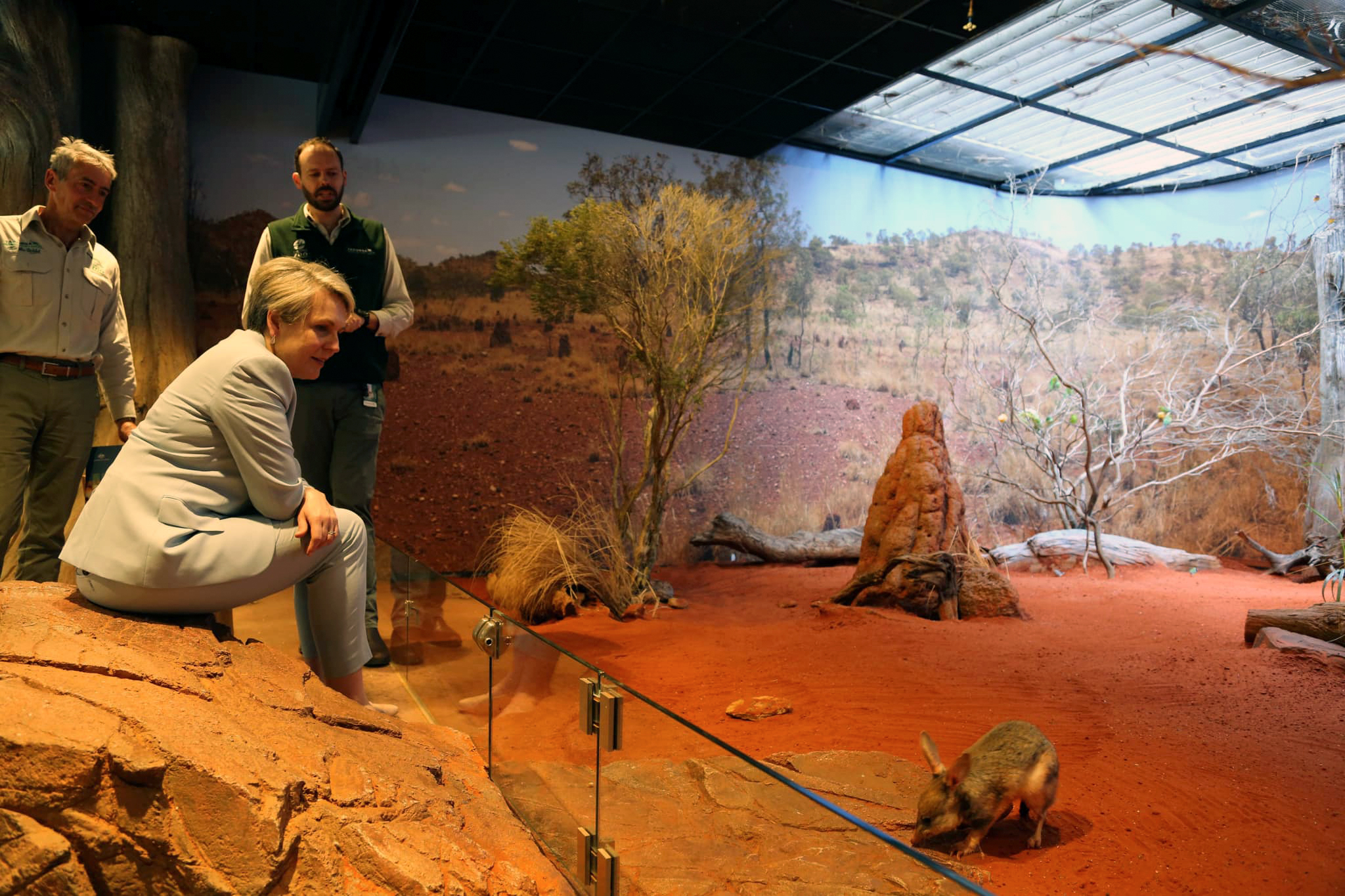 A blonde woman in a cream suit sits on a rock next to a glass fence separating her from an indoor inclosure of red earth that mimics the outback. There is a small furred marsupial on the ground near the fence and rocks and grasses around, while two men in green zookeepers uniforms look on.