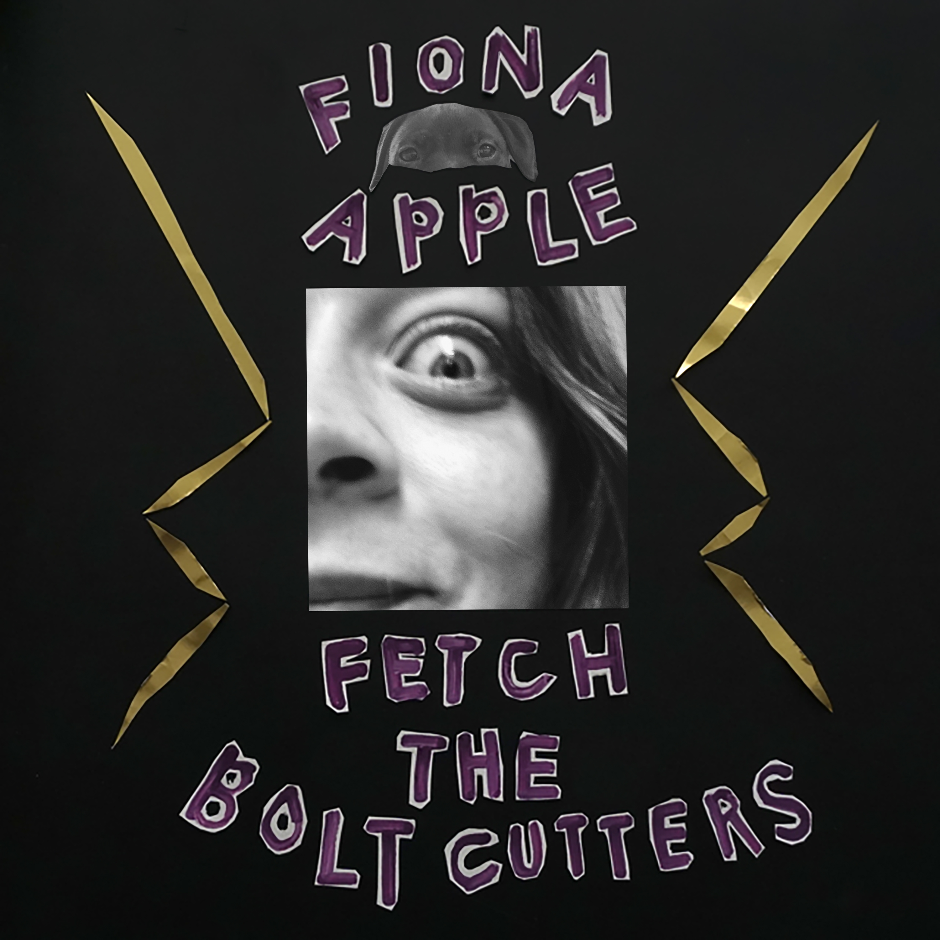 Fiona Apple’s Fetch the Bolt Cutters