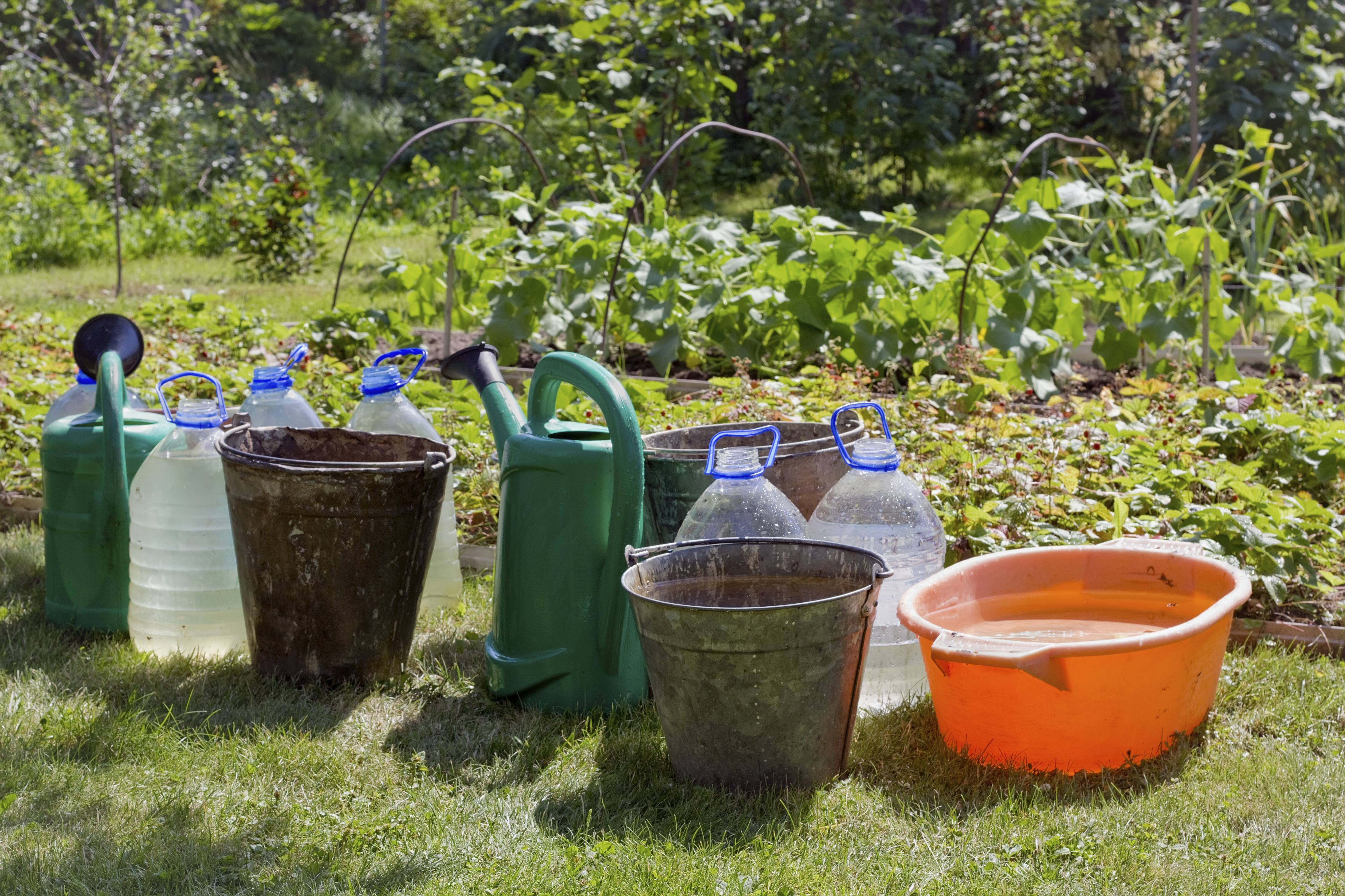 Waterwise tips to beat this summer’s killer heat