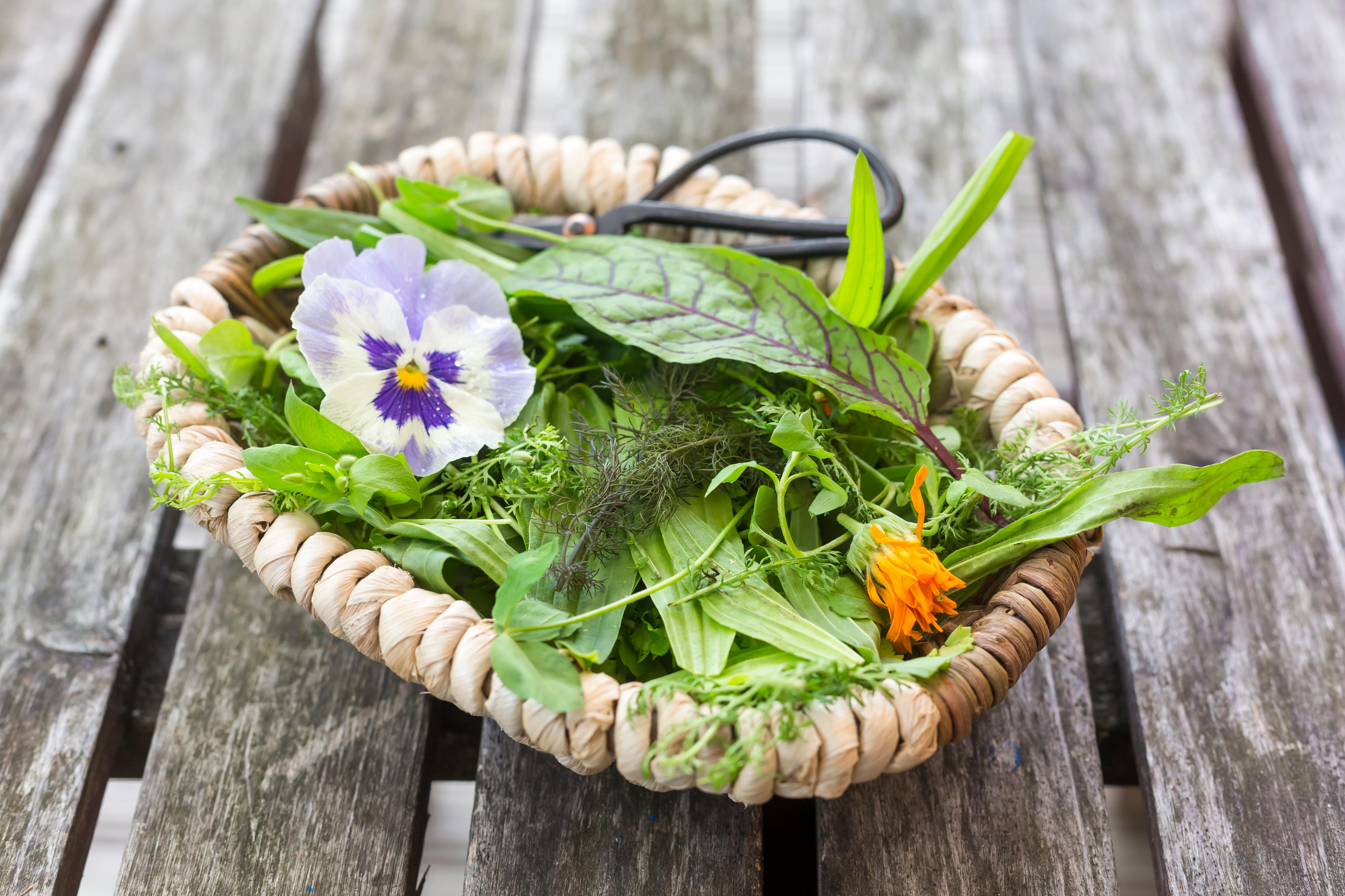 Winter’s bounty